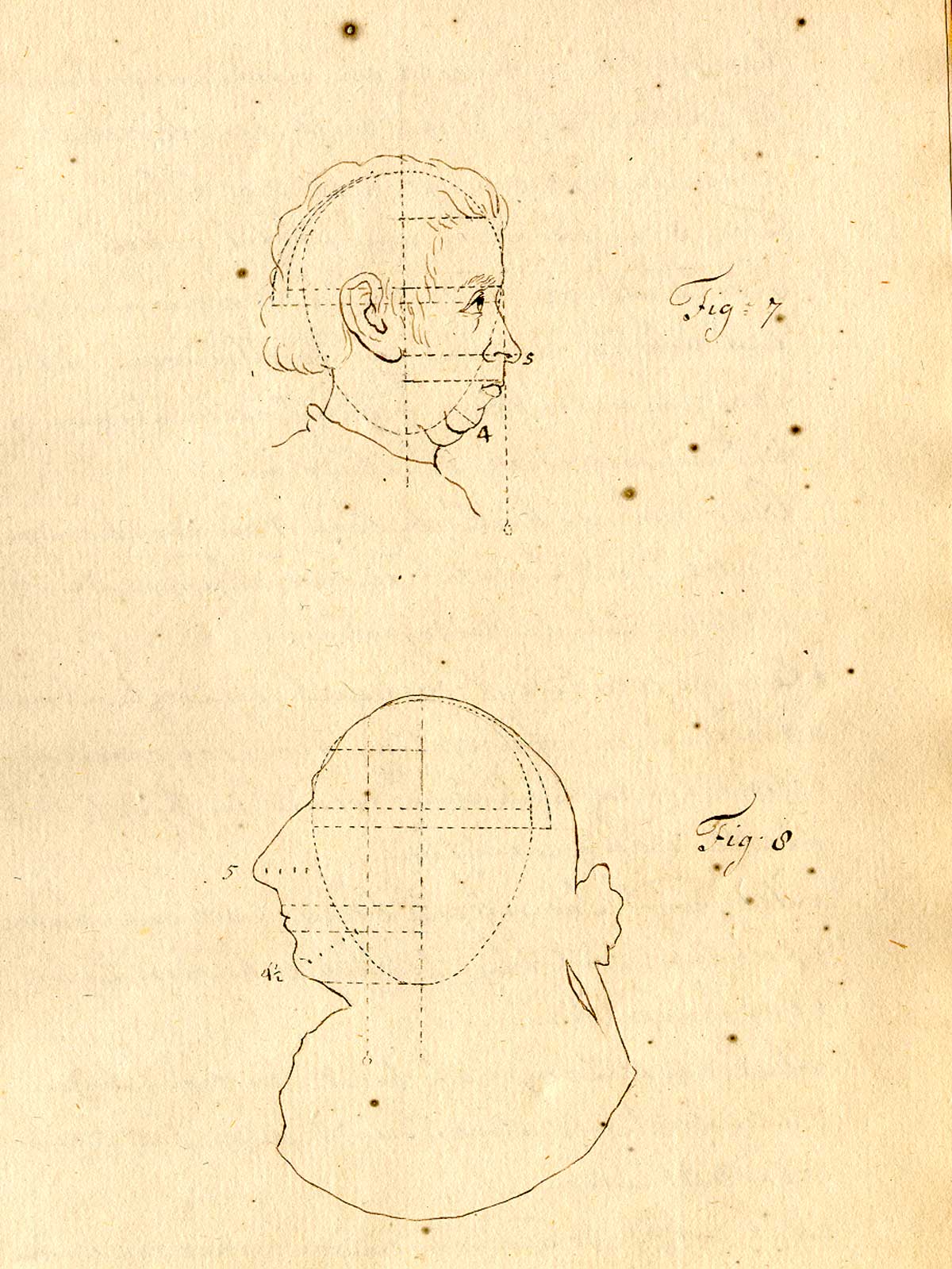 Manuscript drawings of two male heads in profile one facing the left and the other to the right, each with indexed lines showing proportional measurements and shapes of the head, from Anonymous treatise on physiognomy, NLM call no.: MS B 662.