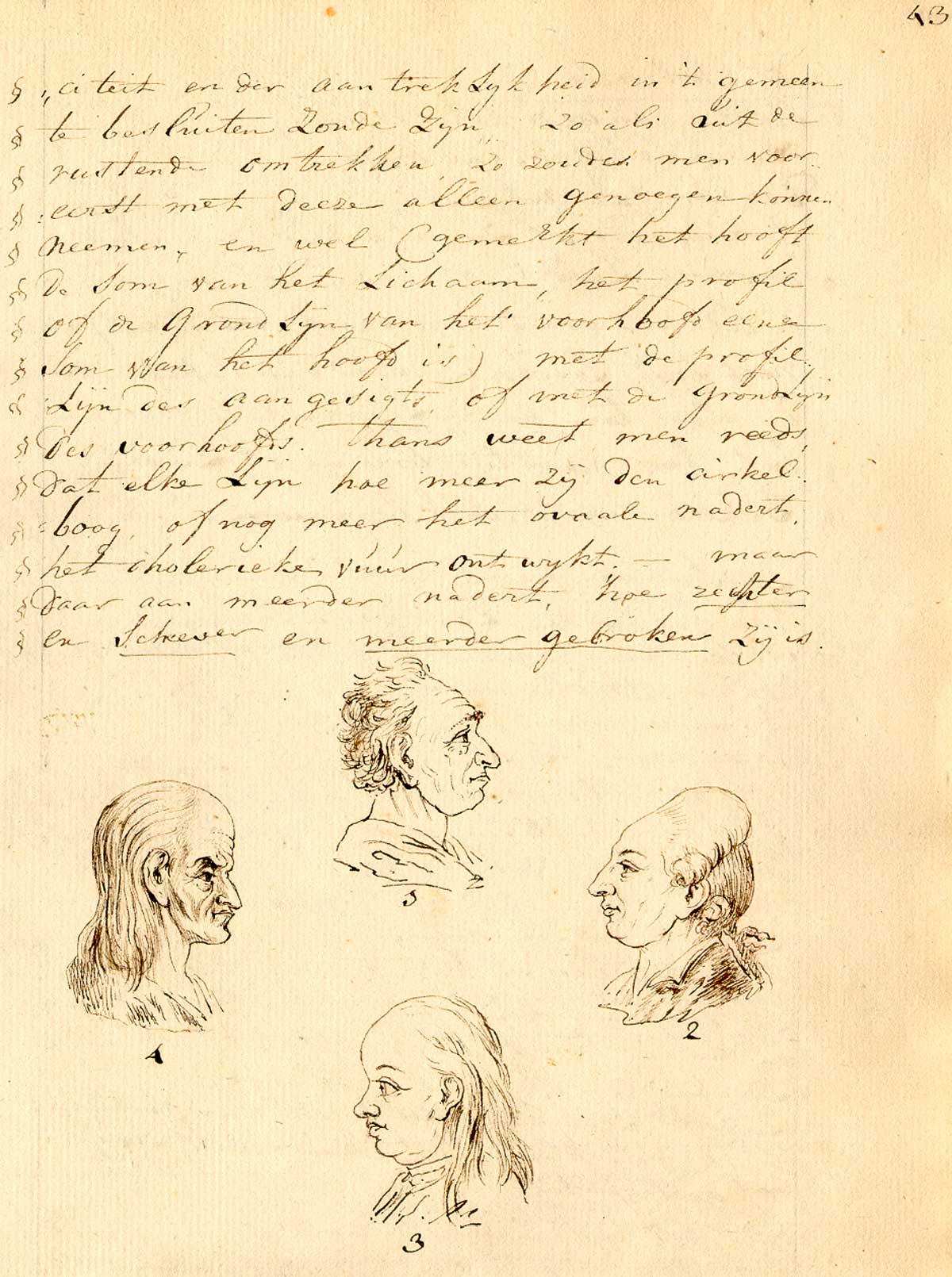 Manuscript drawing of four male heads at the bottom of the page, two facing the left and two facing the right, with text in Dutch at the top half of the page, from Anonymous treatise on physiognomy, NLM call no.: MS B 662.