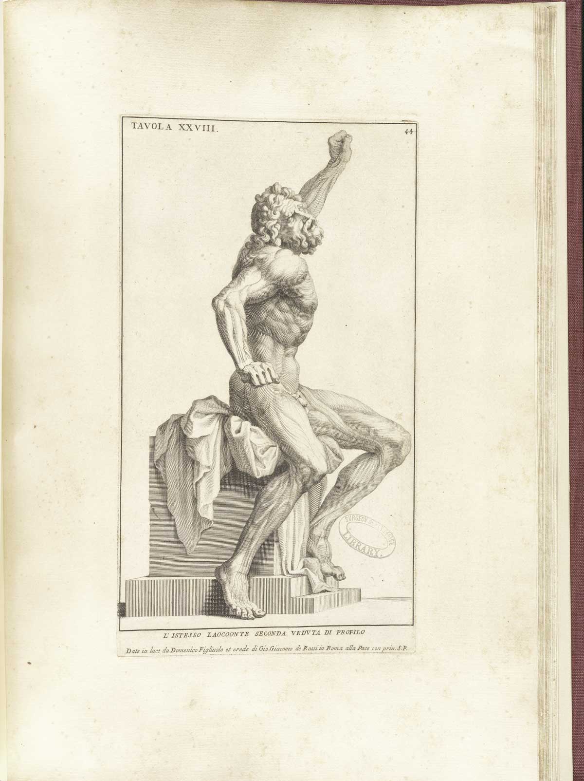 Engraving of the statue of Laocoon without his sons or the large snake which ate them; the nude seated figure is viewed from his right side and has his left arm raised in struggle clenched in a fist as his right arm pushes down at his side, also with a clenched fist; his face faces the viewer with a look of struggle and agony; from Bernardino Genga’s Anatomia per uso et intelligenza del disegno, NLM Call no.: WZ 250 G329an 1691.
