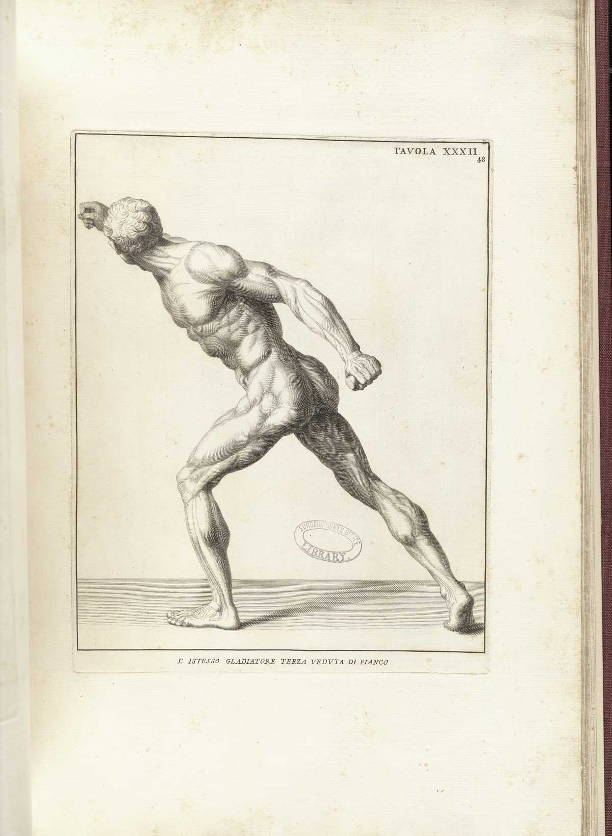 Engraving of the statue the Borghese Gladiator, a nude male figure viewed from the left side, lunging forward with his right hand raised as if with a sword to fight an opponent on horseback; from Bernardino Genga’s Anatomia per uso et intelligenza del disegno, NLM Call no.: WZ 250 G329an 1691.