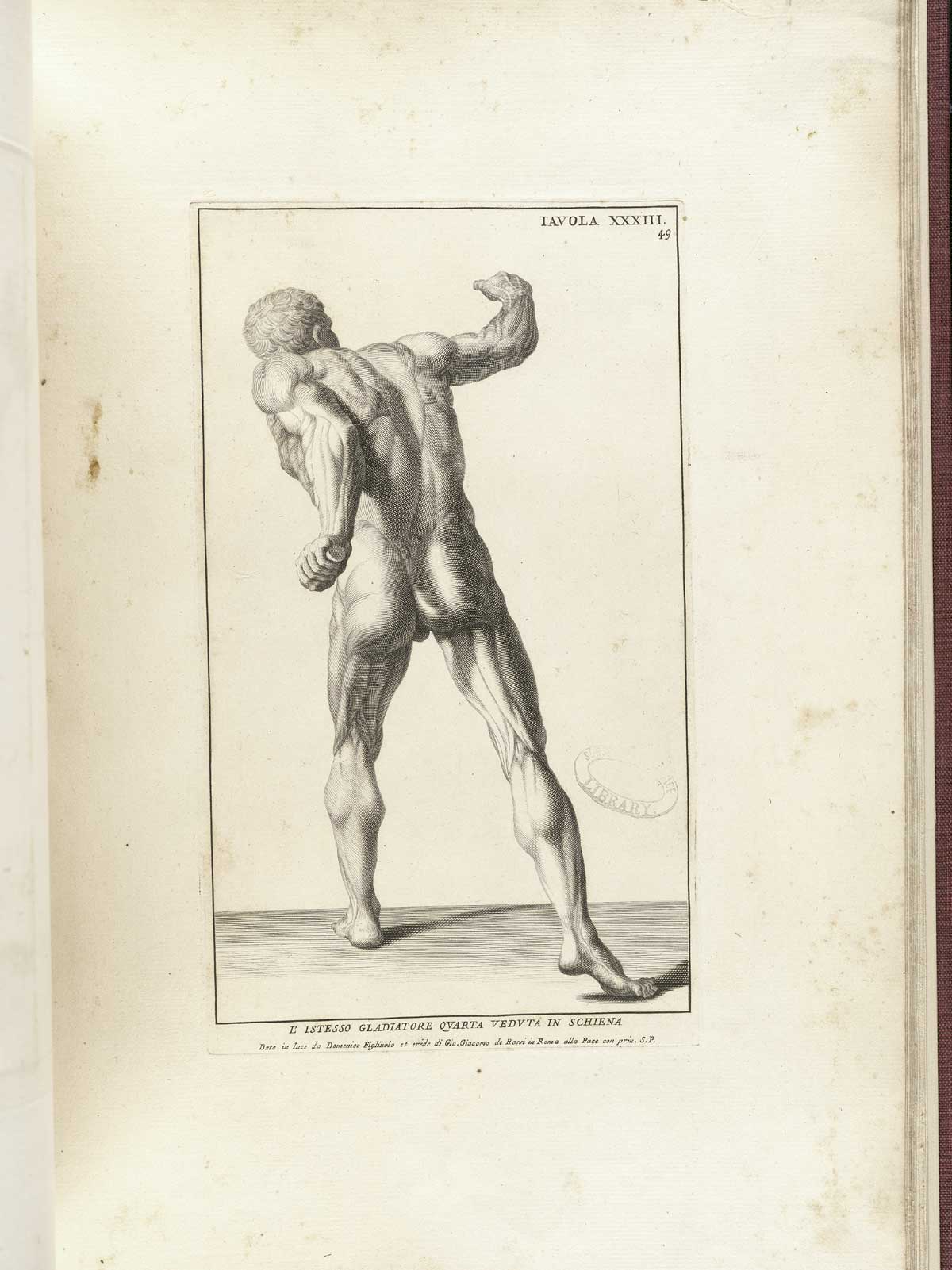 Engraving of the statue the Borghese Gladiator, a nude male figure viewed from behind, lunging forward with his right hand raised as if with a sword to fight an opponent on horseback; from Bernardino Genga’s Anatomia per uso et intelligenza del disegno, NLM Call no.: WZ 250 G329an 1691.