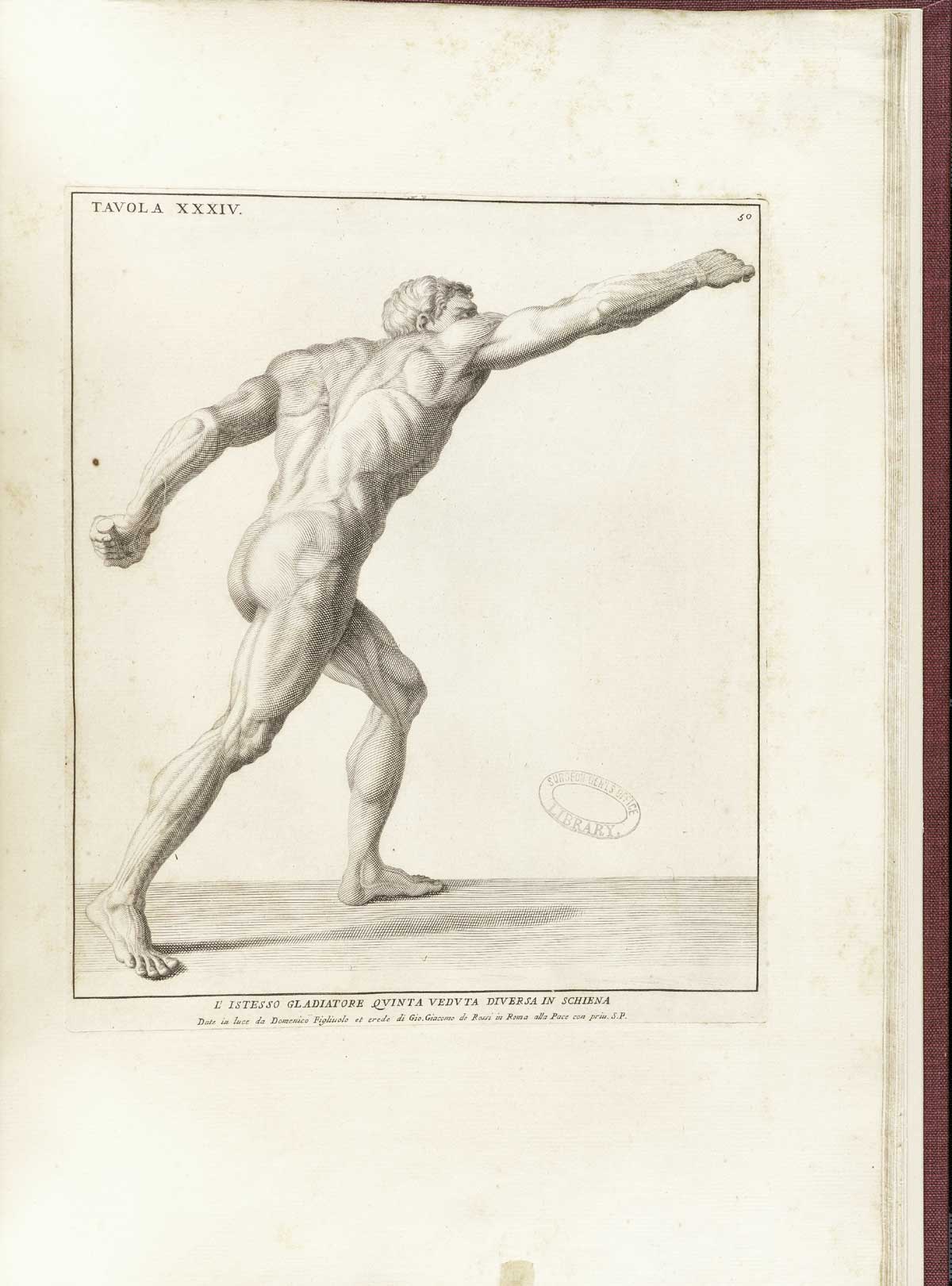 Borghese Gladiator, from Bernardino Genga’s Anatomia per uso et intelligenza del disegno, NLM Call no.: WZ 250 G329an 1691.