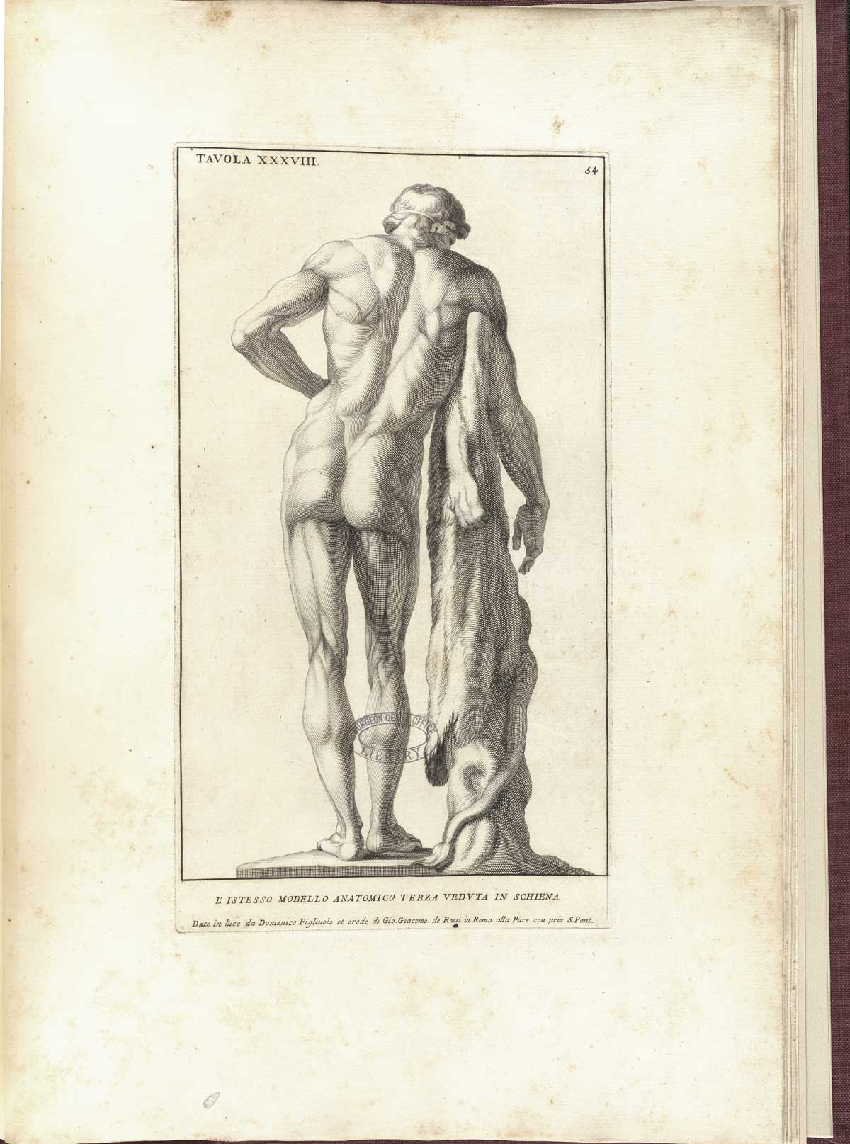 Engraving based on a statue of a faun in the Borghese collection, a standing nude male figure viewed from beind with prominent musculature with left had behind his back and leaning with his right arm on a post or tree; from Bernardino Genga’s Anatomia per uso et intelligenza del disegno, NLM Call no.: WZ 250 G329an 1691.