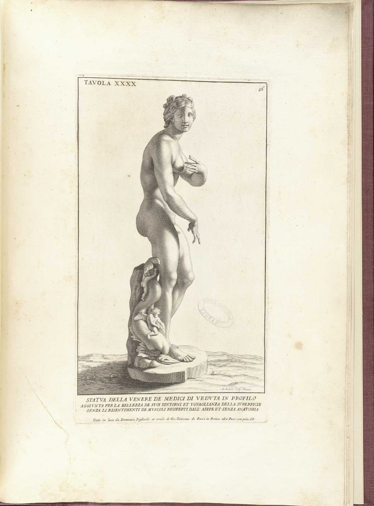 Engraving of a side view of the Medici Venus statue, a standing facing nude woman with her body turned 90 degrees to the right; at her right foot is a tree stump on which sit two cherubs; from Bernardino Genga’s Anatomia per uso et intelligenza del disegno, NLM Call no.: WZ 250 G329an 1691.