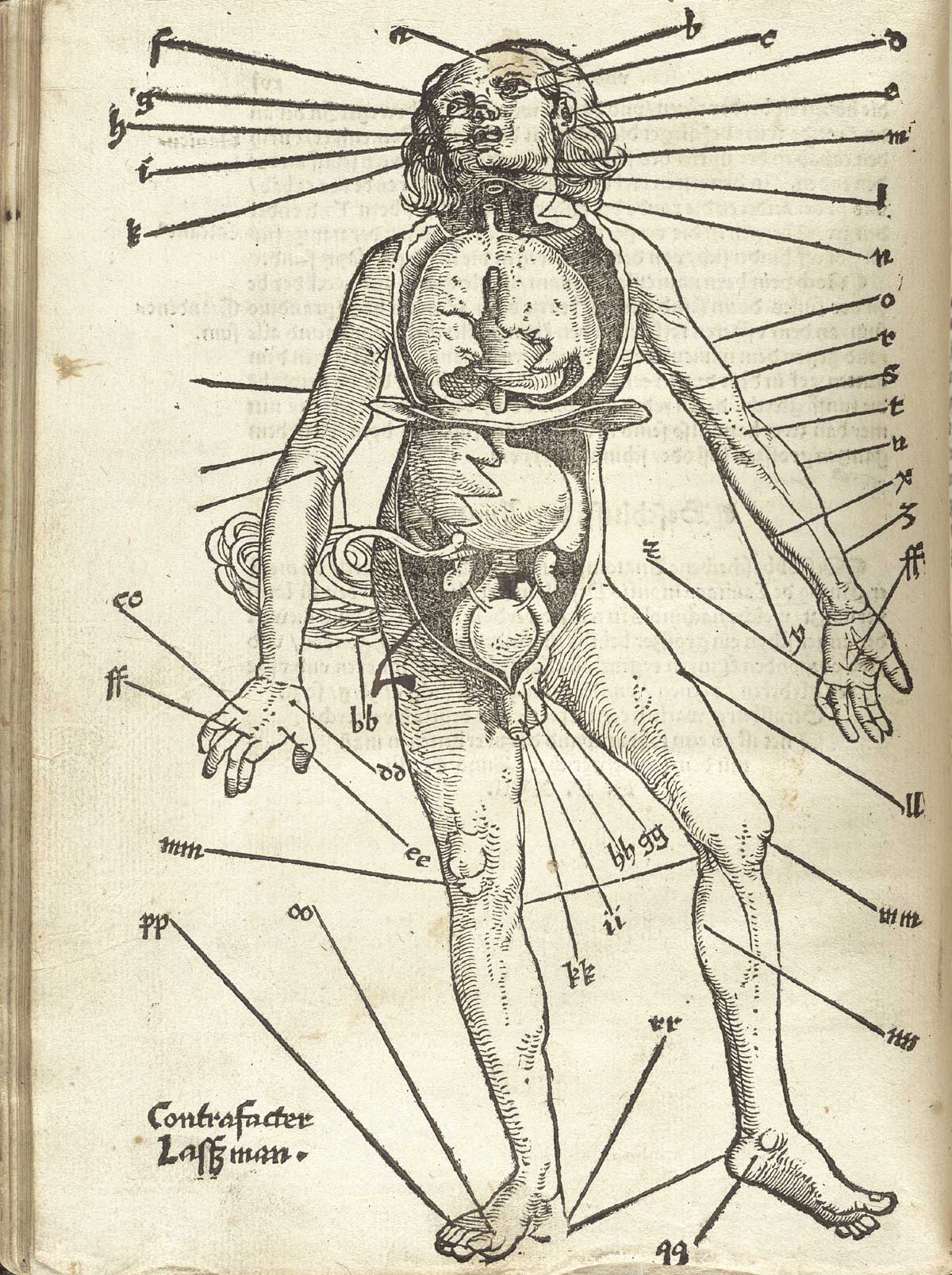 Verso of page 16 of Hans von Gersdorff's Feldtbuch der Wundartzney: newlich getruckt und gebessert, featuring the illustration of a full-length frontal view of a man indicating the points for blood-letting.