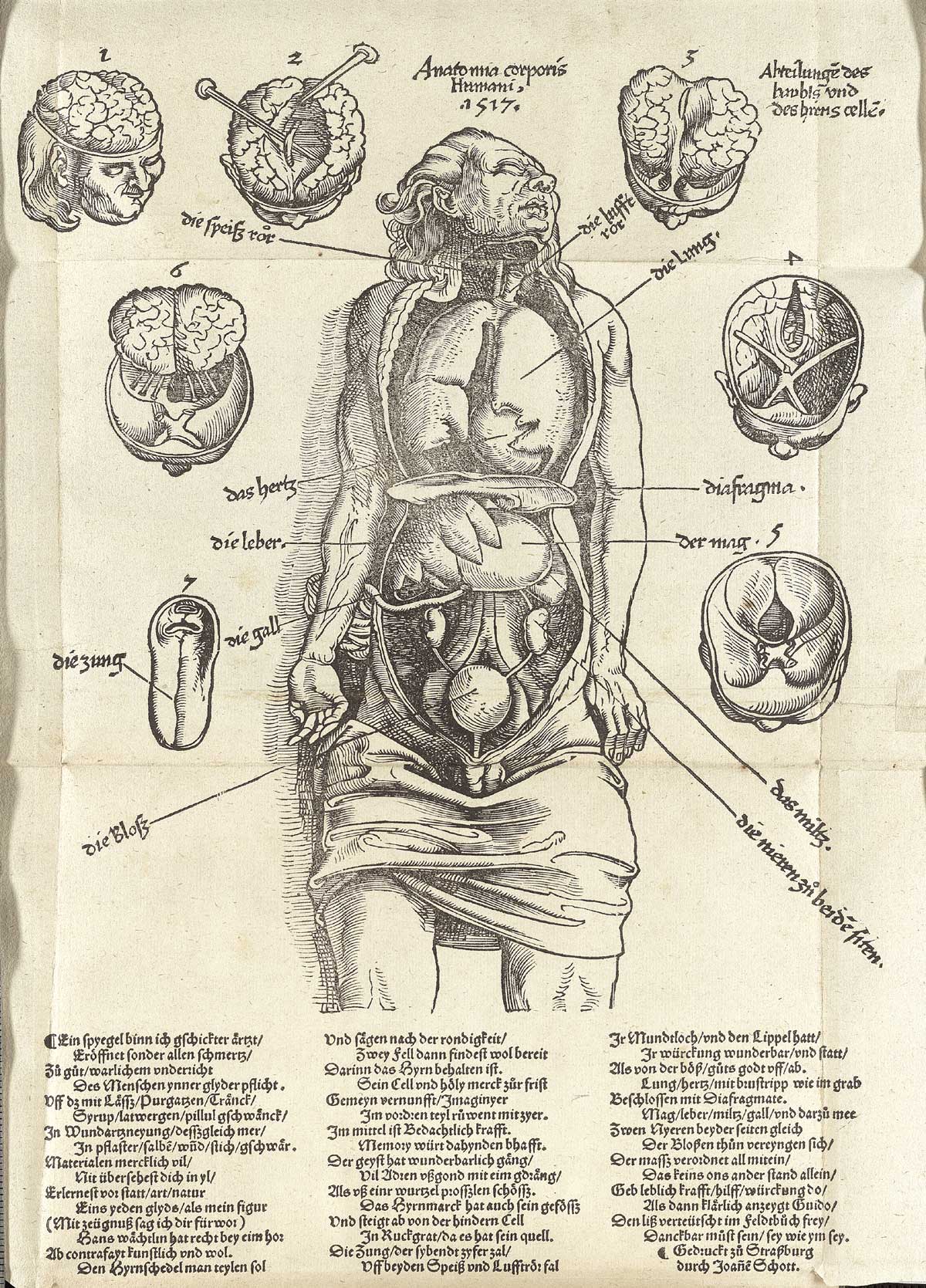 Table 2 of Hans von Gersdorff's Feldtbuch der Wundartzney: newlich getruckt und gebessert, featuring an illustration of a dissected corpse detailing the organs of the body.