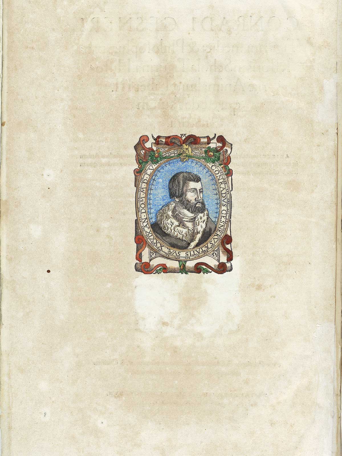 The colorized portrait of Conrad Gessner from volume 3 of Conrad Gessner's Conradi Gesneri medici Tigurini Historiae animalium.