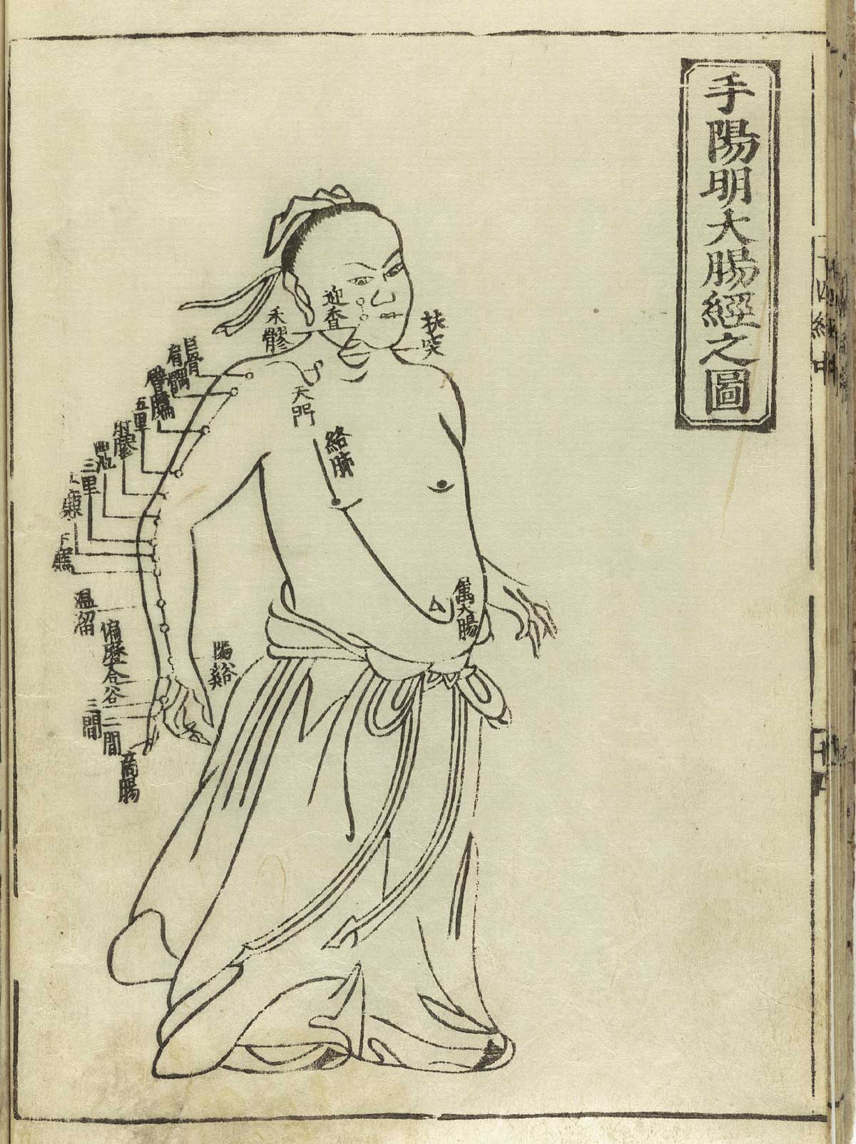 Woodcut showing the Yangming large intestine meridian of hand of a standing male facing figure wearing a skirt with meridians indicated down the right arm and chest with Chinese characters giving names of the points, from Hua Shou’s Jushikei hakki, NLM Call no.: WZ 260 H868s 1716.