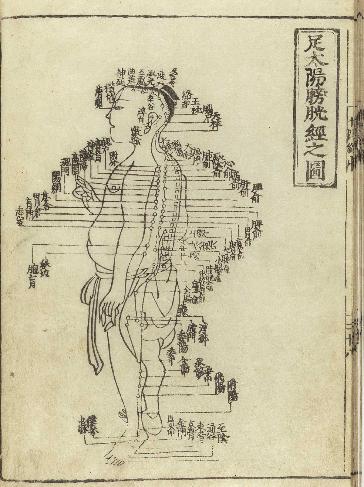 Woodcut showing the Taiyang bladder meridian of foot of a standing male figure in profile wearing a loin cloth with meridians indicated down the arms, back, legs and chest with Chinese characters giving names of the points, from Hua Shou’s Jushikei hakki, NLM Call no.: WZ 260 H868s 1716.