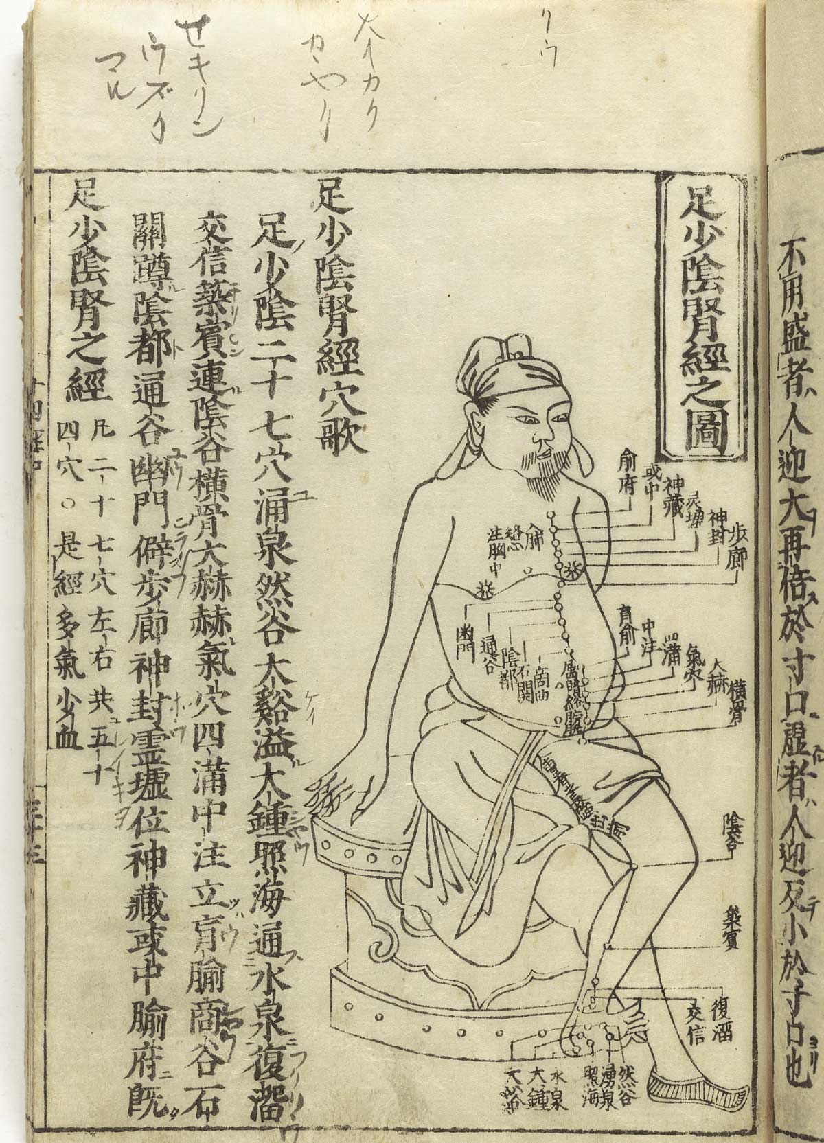 Woodcut showing the Shaoyin kidney meridian of foot of a seated male figure in profile wearing a loin cloth with meridians indicated down the chest and leg with Chinese characters giving names of the points, from Hua Shou’s Jushikei hakki, NLM Call no.: WZ 260 H868s 1716.
