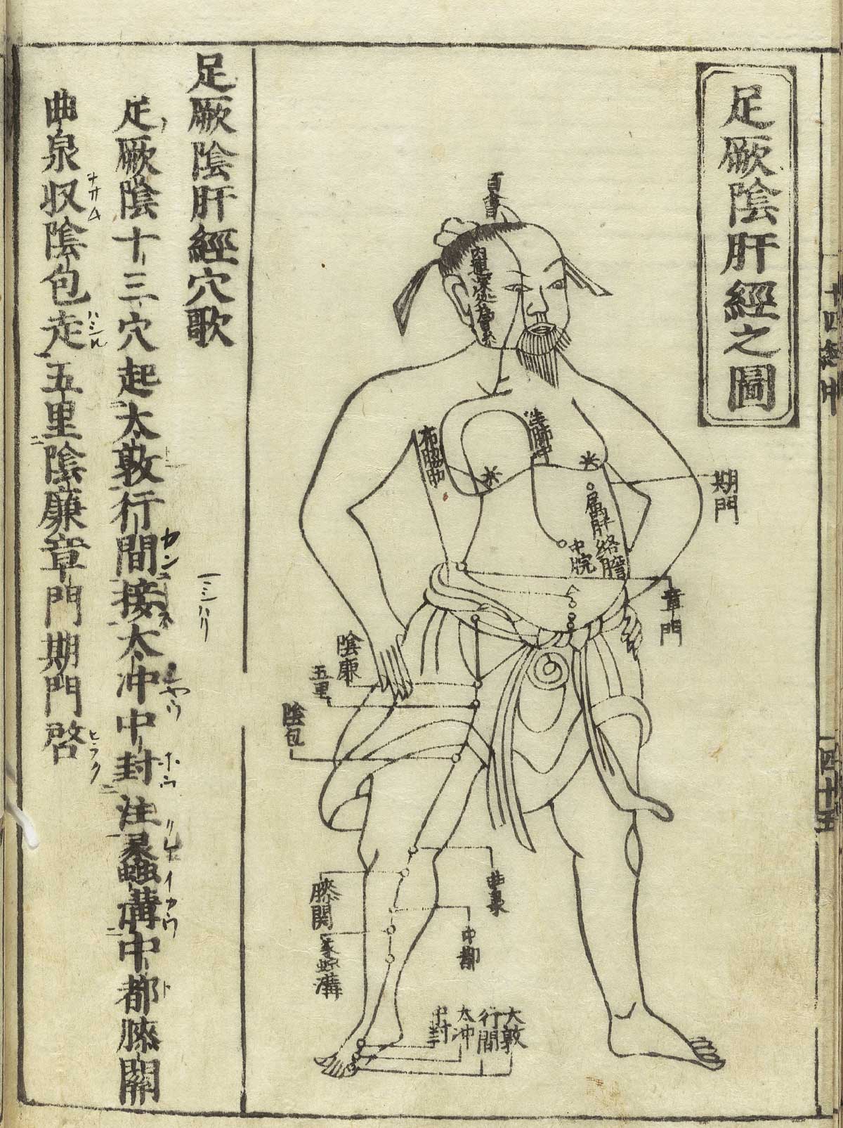 Woodcut showing the Jueyin liver meridian of foot of a standing male facing figure wearing a loin cloth with meridians indicated down the chest and leg with Chinese characters giving names of the points, from Hua Shou’s Jushikei hakki, NLM Call no.: WZ 260 H868s 1716.