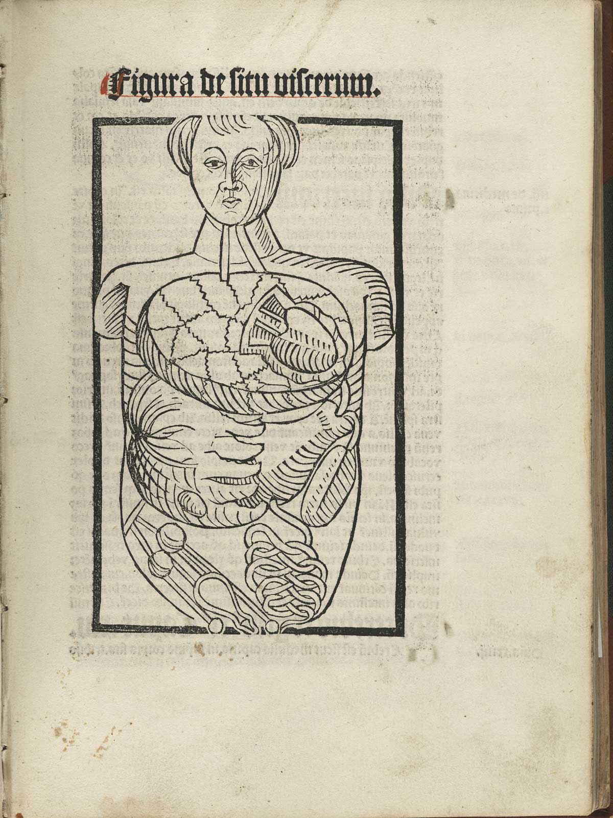 Page 119 of Magnus Hundt's Antropologium de hominis dignitate, natura et proprietatibus, de elementis, partibus et membris humani corporis, featuring a figure indicating the body organs.