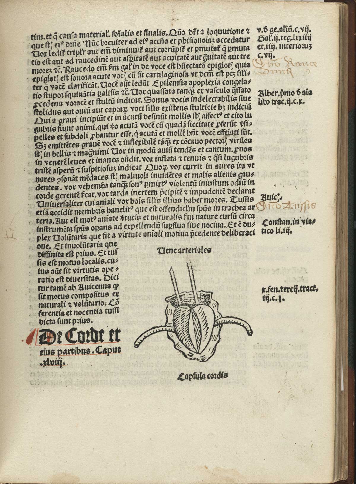 Page 143 of Magnus Hundt's Antropologium de hominis dignitate, natura et proprietatibus, de elementis, partibus et membris humani corporis, featuring an illustration of the heart in the bottom right corner of the page as well as handwritten commentary in the margins.