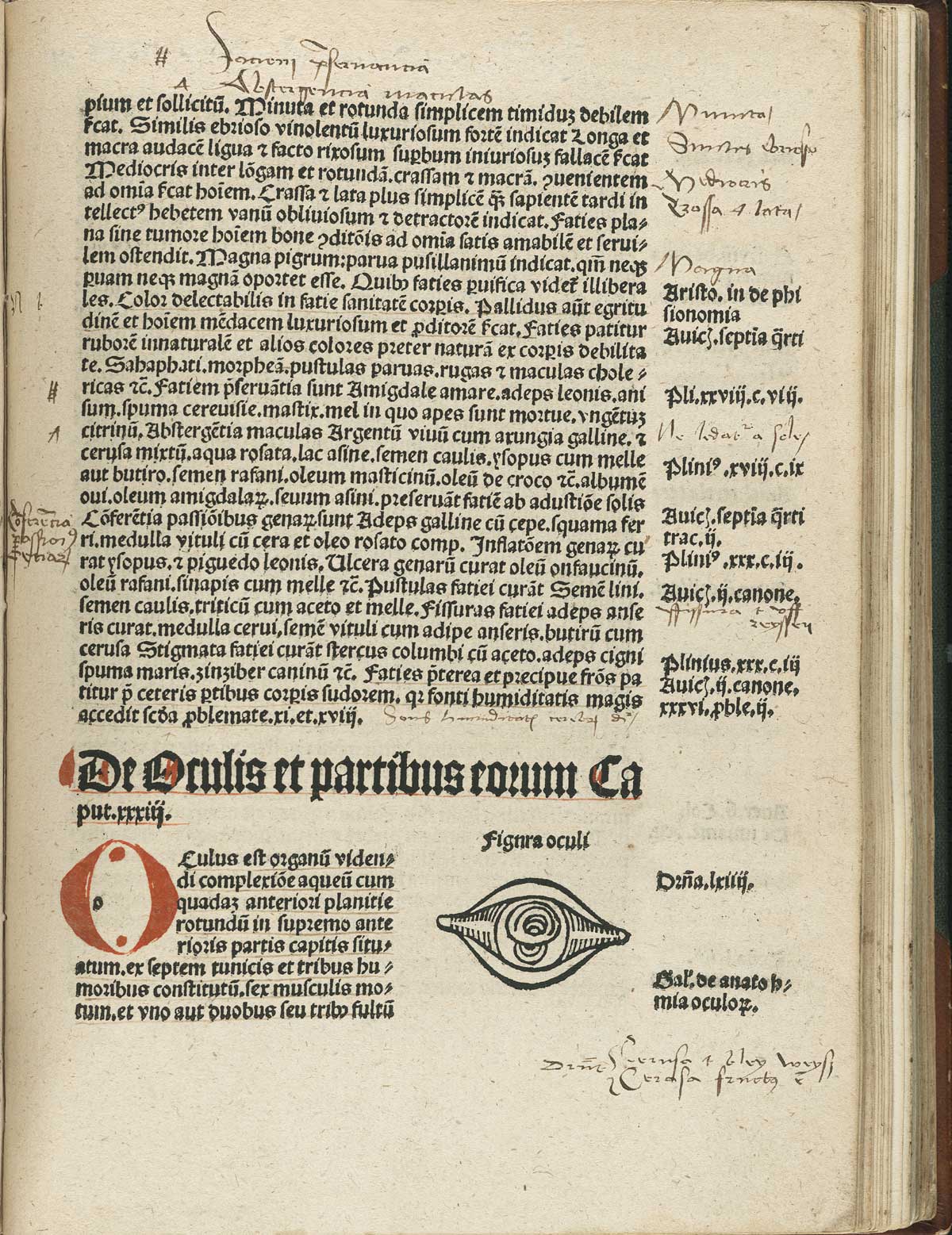 Page 87 of Magnus Hundt's Antropologium de hominis dignitate, natura et proprietatibus, de elementis, partibus et membris humani corporis, featuring an illustration of an eye in the bottom right corner of the page as well as handwritten commentary in the margins.