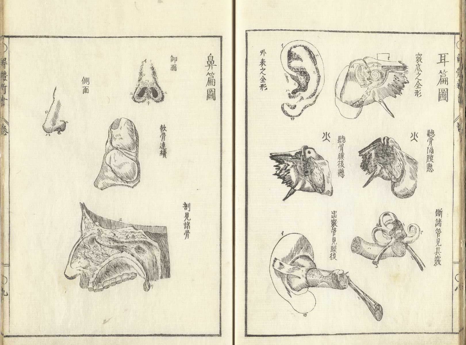 Pages 8 and 9 of Johann Adam Kulmus' Kaitai shinsho. Page 8 are six illustrations of the parts of the ear. Page 9 are four illustrations of the parts of the nose.