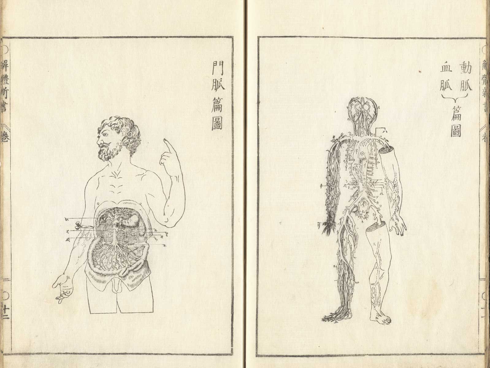 Pages 11 and 12 of Johann Adam Kulmus' Kaitai shinsho. Page 11 is a full length frontal view of the venous system. Page 12 is an illustration of the frontal view of a man with the venous system of the abdominal cavity exposed.