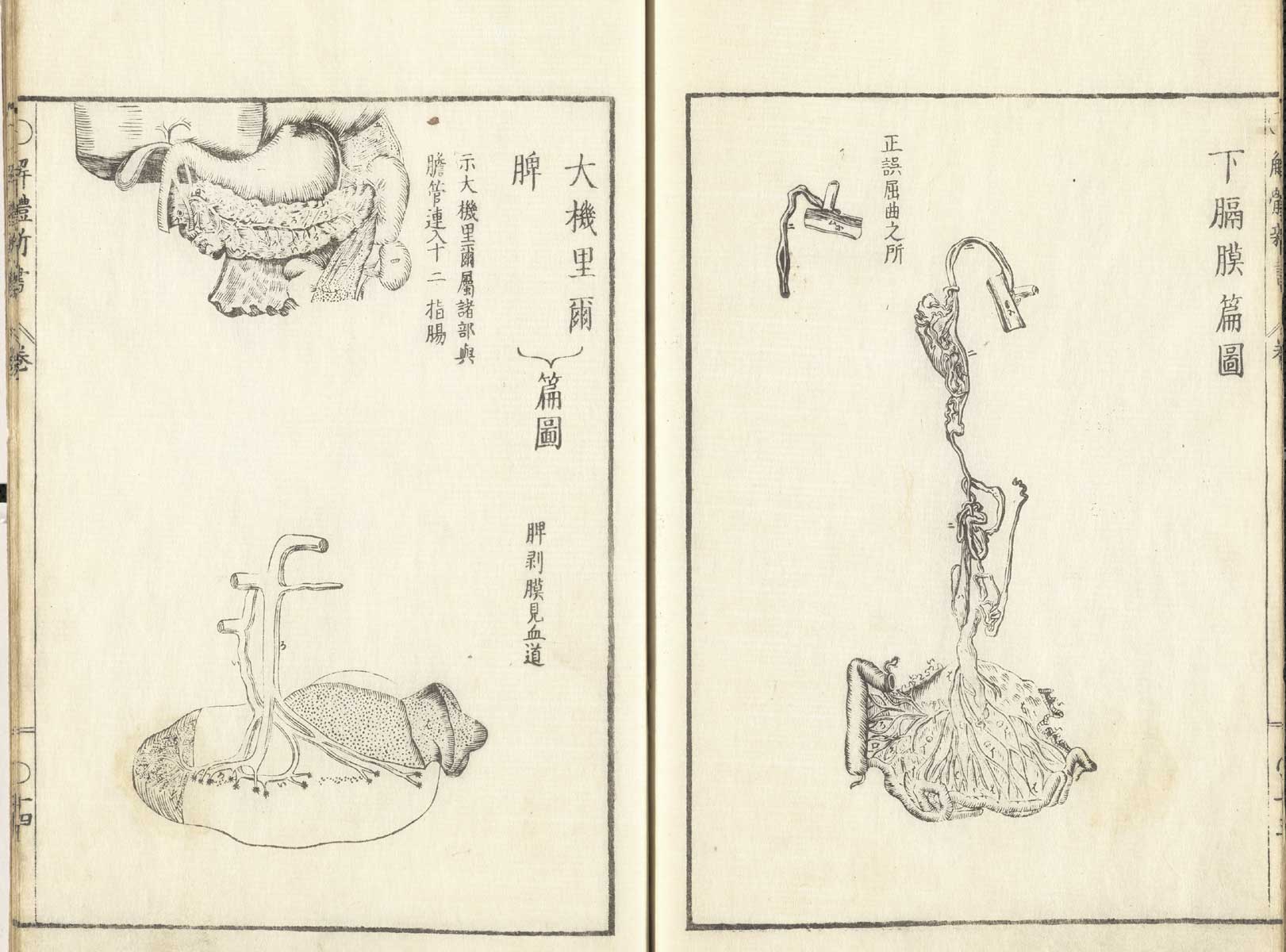 Pages 13 and 14 of Johann Adam Kulmus' Kaitai shinsho. Page 13 is an illustration of the venous system of the abdominal cavity. Page 14 are two illustrations of the abdominal cavity organs.