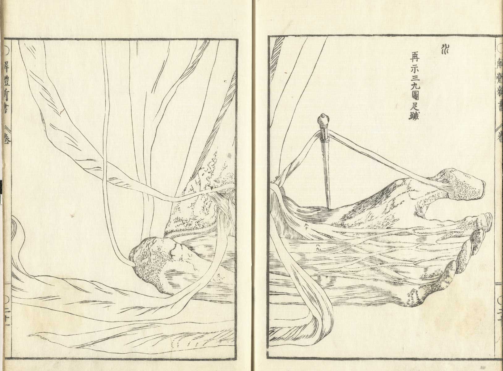 Pages 20 and 21 of Johann Adam Kulmus' Kaitai shinsho, featuring the muscles and tendons from the bottom of a flayed left hand illustrated across both pages.
