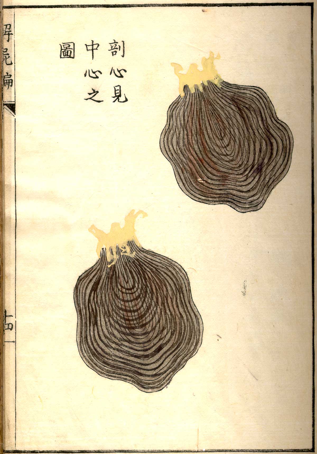 Hand colored woodcut of the heart in cross-section, with Japanese text above and below describing some of the structures, from Shinnin Kawaguchi's Kaishi hen, NLM Call no.: WZ 260 K21k 1772.