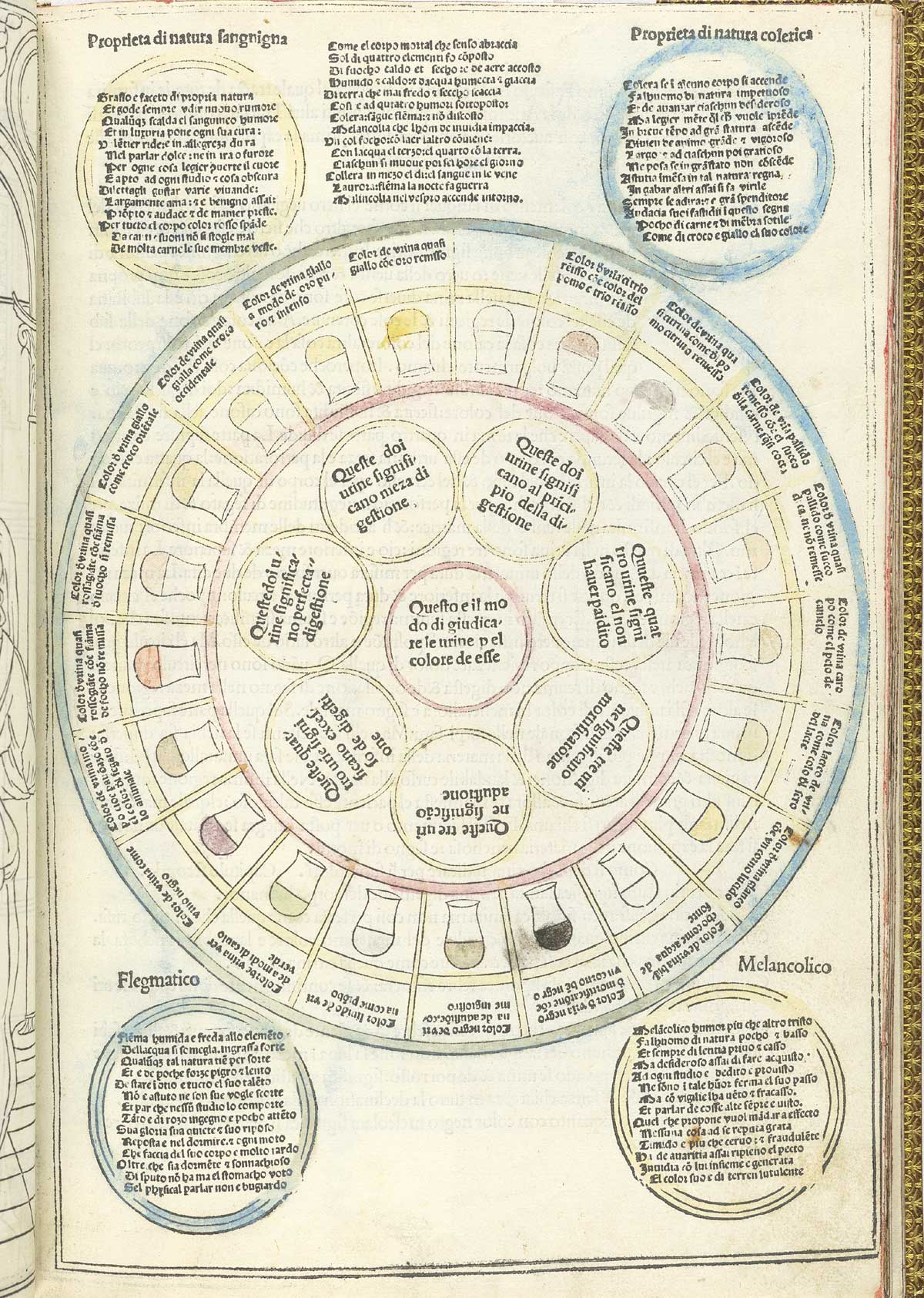 Page 3 of Johannes de Ketham's Fasiculo de medicina features a diagnostic uroscopy chart. The chart identifies the differences in urine by color, contents, and consistency. The focus is on colors, each of which is represented by a matula or flask.  The color of urine also reflected the predominance of one of the four humors in the examined person; this predominance determined one’s 'temperament' as (clockwise, from top left) sanguine, choleric, melancholic, or phlegmatic.