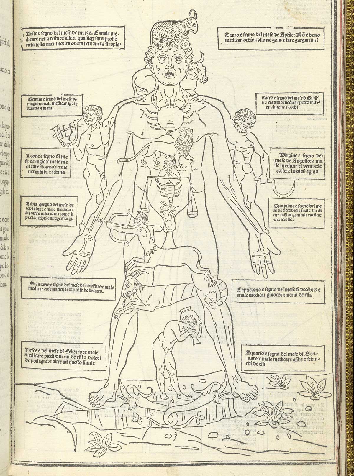 Page 15 of Johannes de Ketham's Fasiculo de medicina, featuring zodiac man, a human figure with the parts of the body identified with signs of the zodiac.