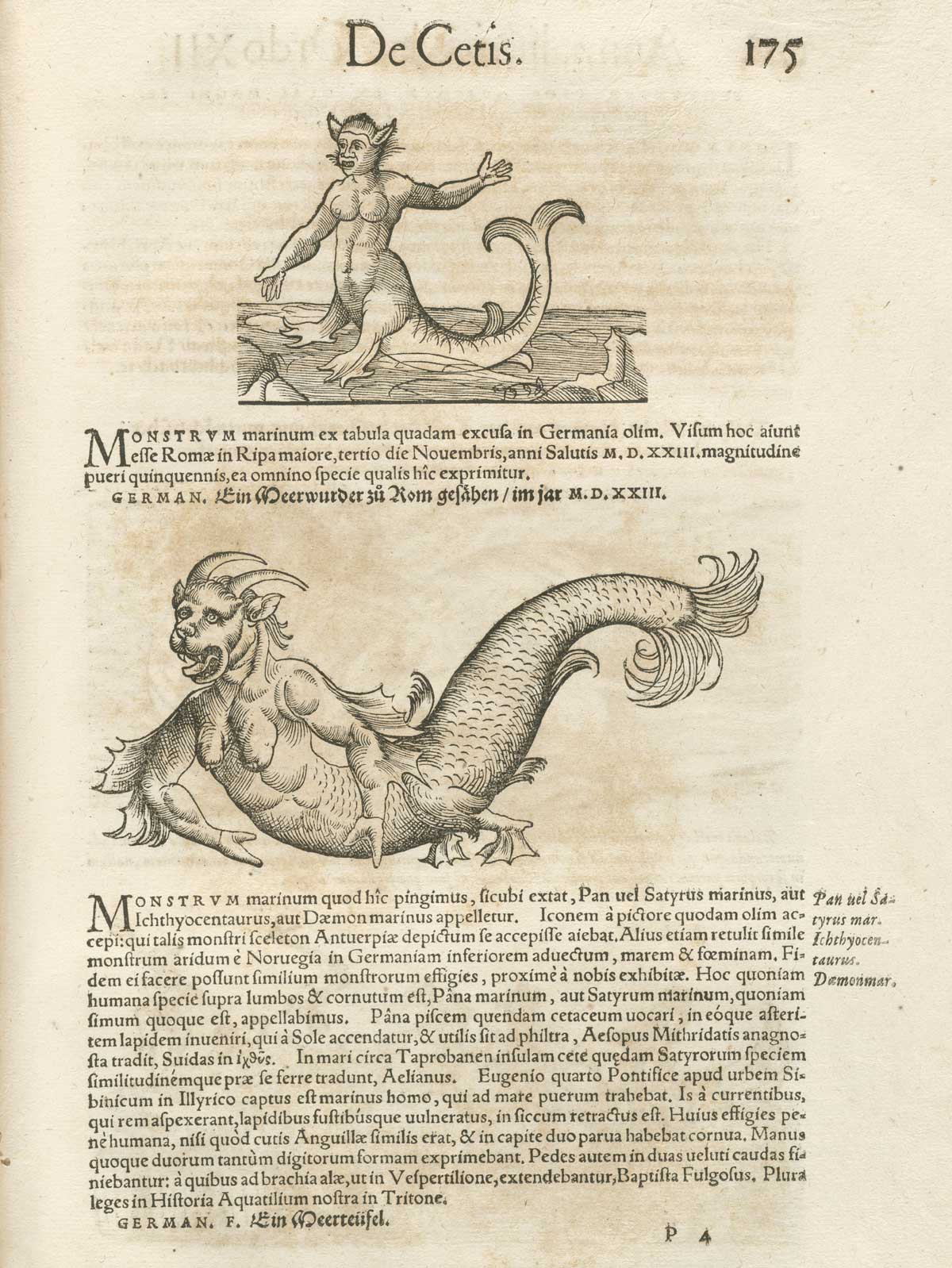 Page 175 from volume 4 of Conrad Gessner's Conradi Gesneri medici Tigurini Historiae animalium, featuring two images of de cetis, or sea monster.