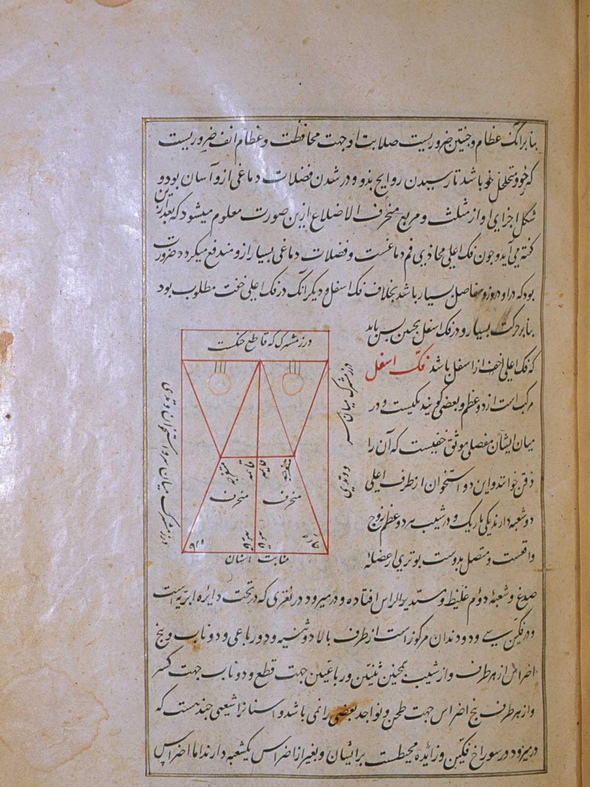 Folio 8a of Mansur ibn Ilyas' Tashrih-i badan-i insan, featuring a schematic inked diagram of the bones of the upper jaw (maxilla) with the positions of the teeth indicated.