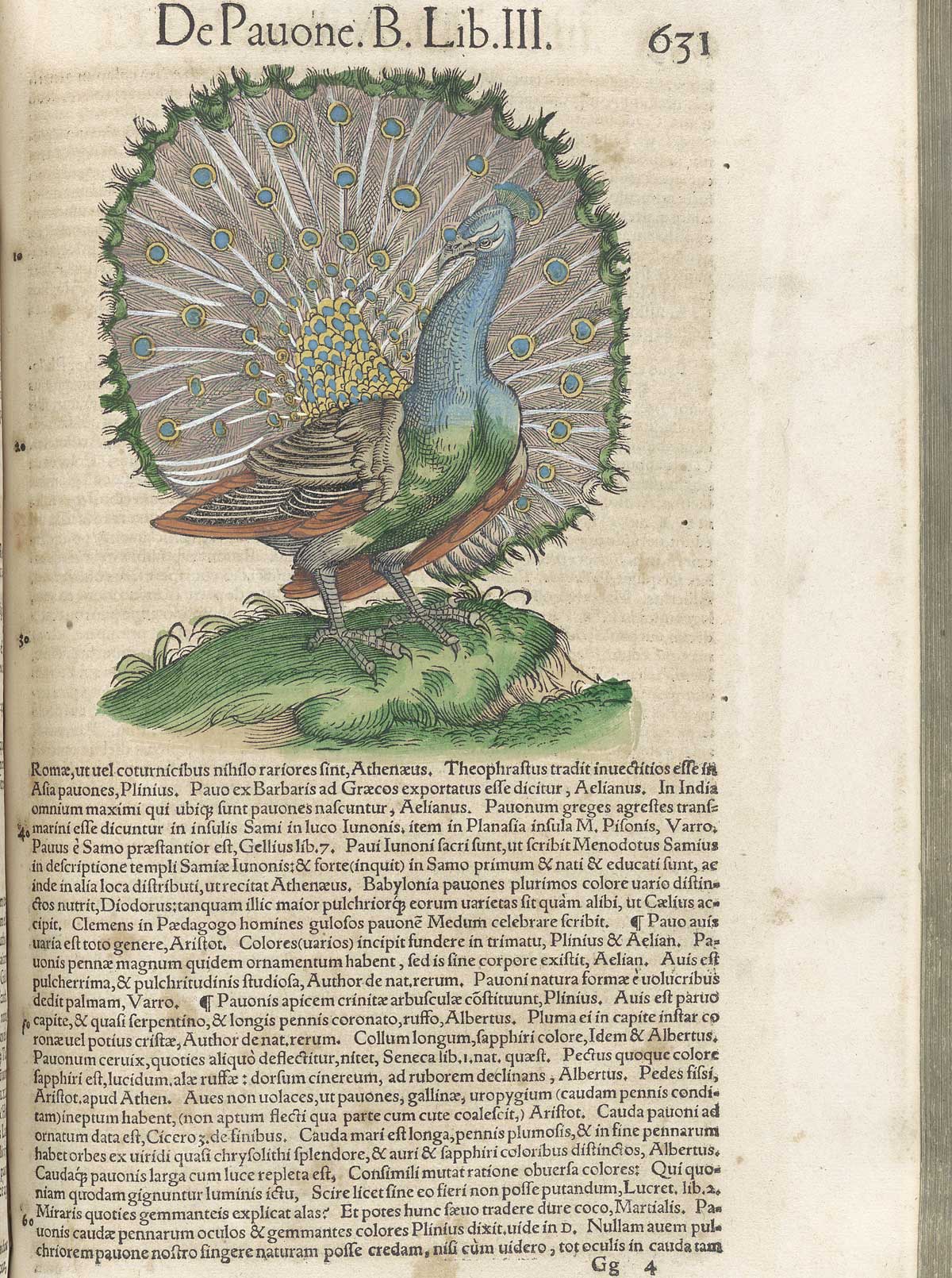 Page 631 from volume 3 of Conrad Gessner's Conradi Gesneri medici Tigurini Historiae animalium, featuring the colored woodcut of de pauone or a peacock.