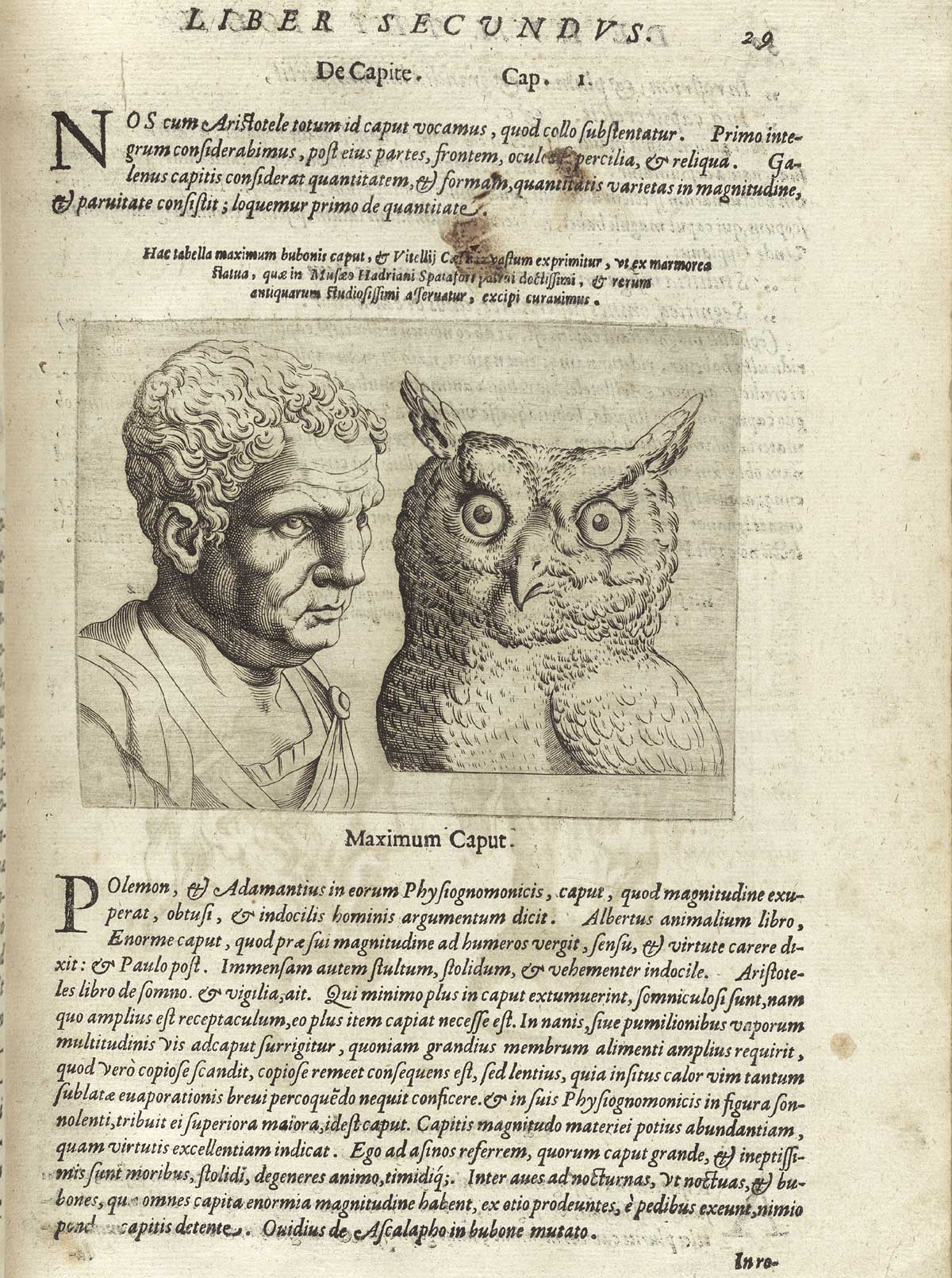 Page 29 of Giambattista della Porta's De humana physiognomonia libri IIII, featuring on the left an image of the head and shoulders view of a man facing to the left and on the right an image of a head and shoulders view of an owl.