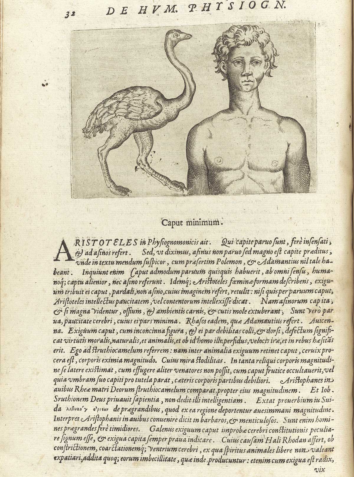 Page 32 of Giambattista della Porta's De humana physiognomonia libri IIII, featuring on the left an image of the full length right side view of an ostrich and on the right an image of the head and shoulders frontal view of a nude man with an elongated neck.