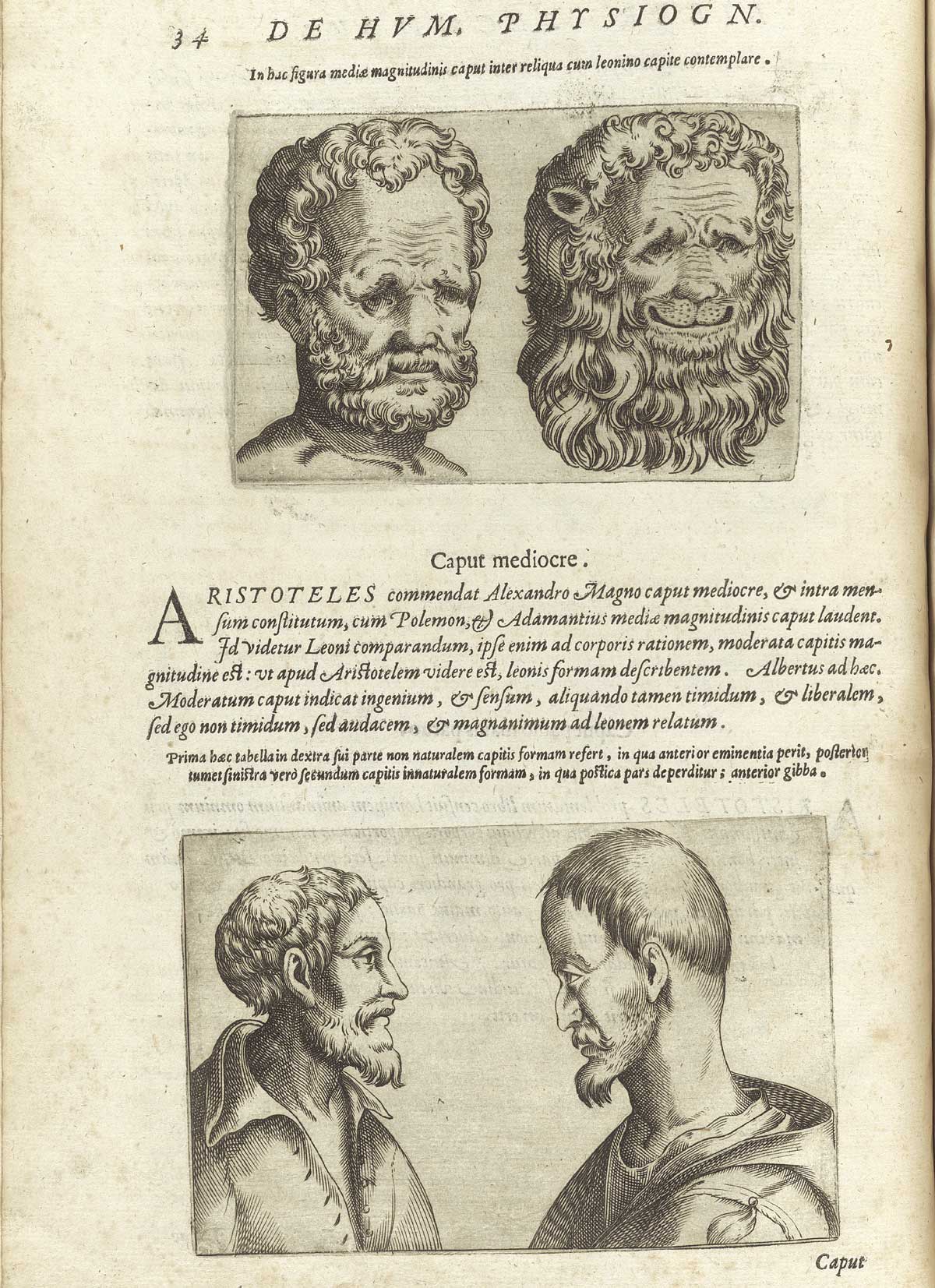 Page 34 of Giambattista della Porta's De humana physiognomonia libri IIII,  featuring an upper and lower image. In the top image has the front view of a man with a beard and the front view of a lion. The bottom image has the head and shoulders side view of two men in robes facing each other.