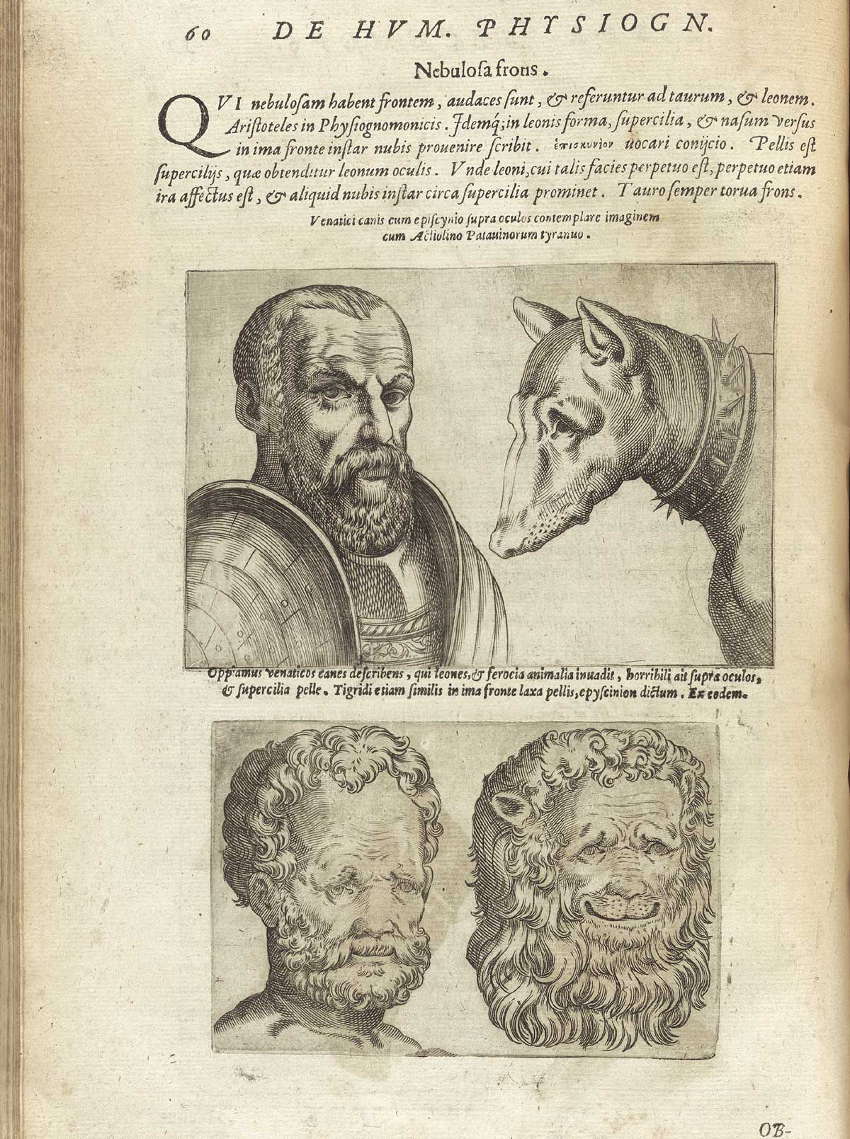 Page 60 of Giambattista della Porta's De humana physiognomonia libri IIII, featuring an upper and lower image. In the top image has the head and shoulders frontal view of a man in armor and the head and shoulders of a dog wearing a spiked collar facing the man. In the bottom image has the front view of a man with a beard and the front view of a lion.