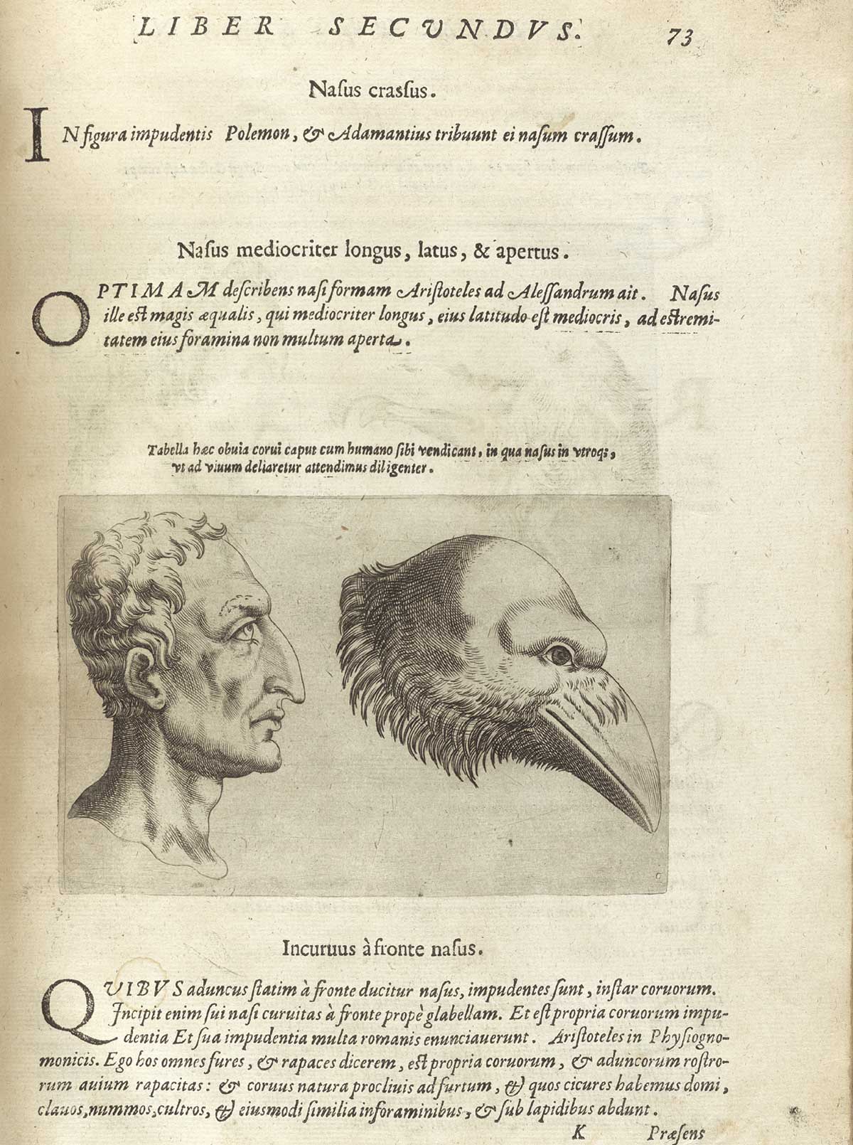 Page 73 of Giambattista della Porta's De humana physiognomonia libri IIII, featuring the head and shoulders right side view of a man with a large hooked nose and a crow.