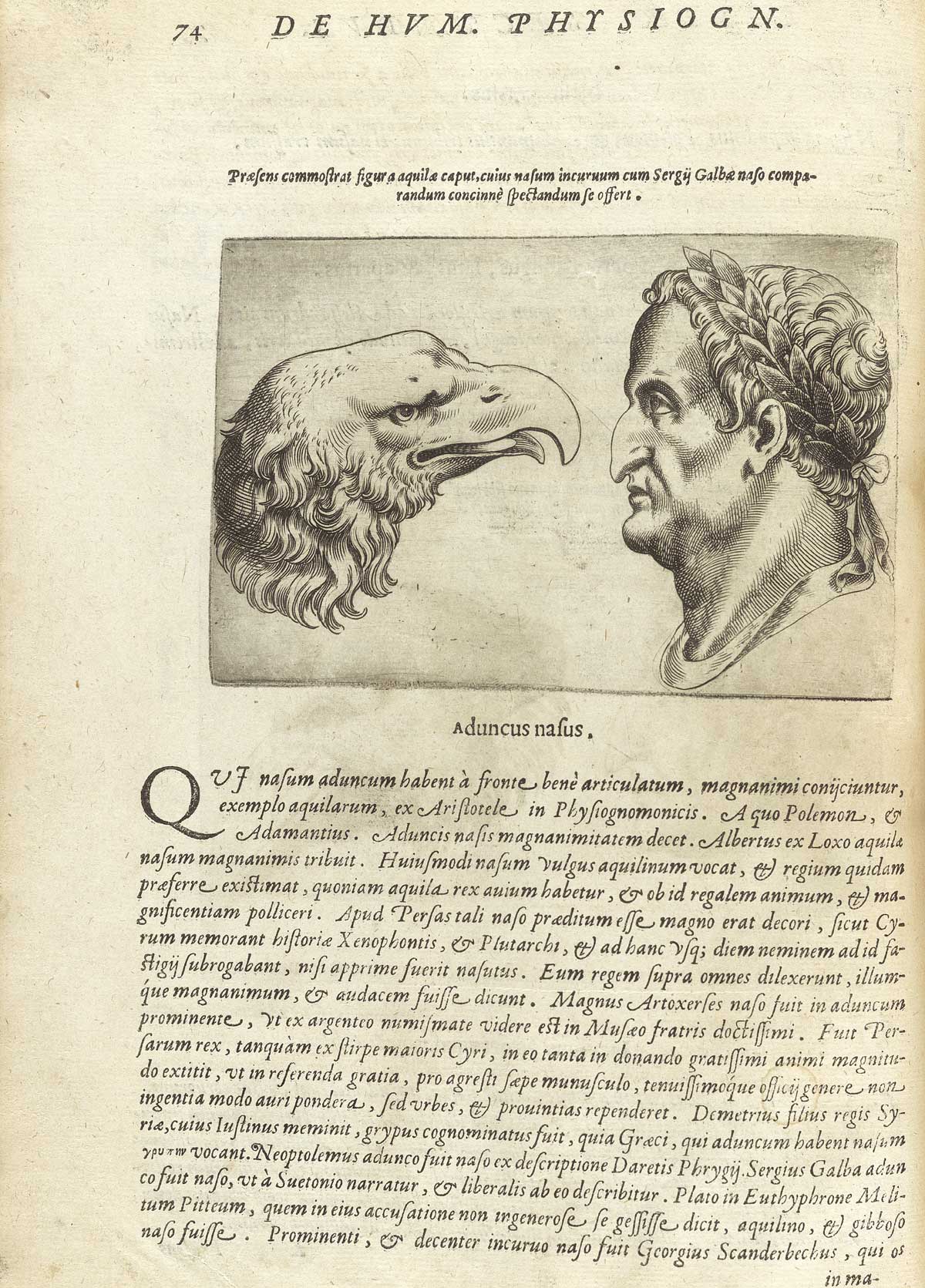 Page 74 of Giambattista della Porta's De humana physiognomonia libri IIII, featuring the head and shoulders right side view of an eagle facing a man with a hooked nose.
