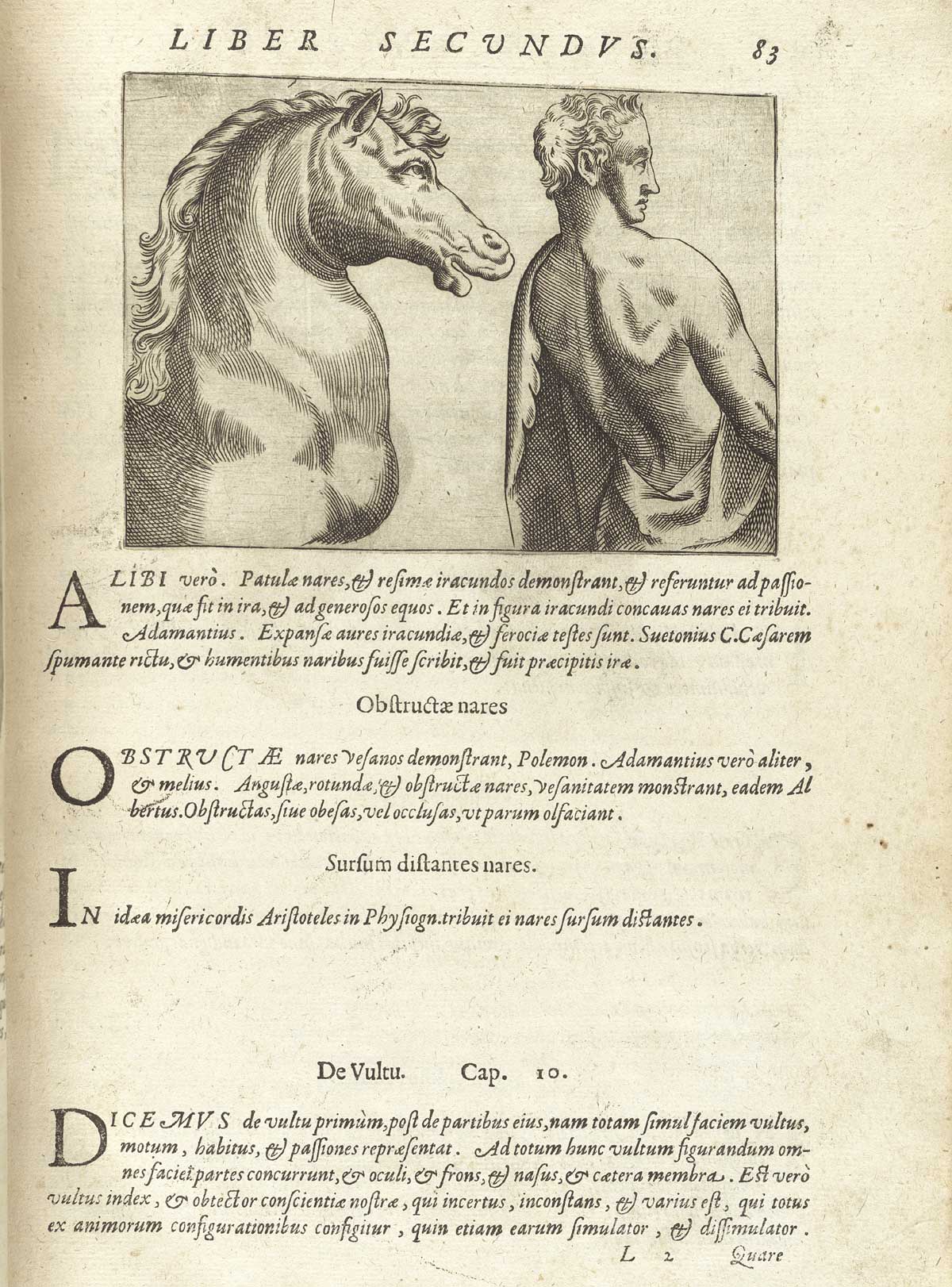 Page 83 of Giambattista della Porta's De humana physiognomonia libri IIII, featuring the head and shoulders right side view of a horse and the back of a man wearing a robe.