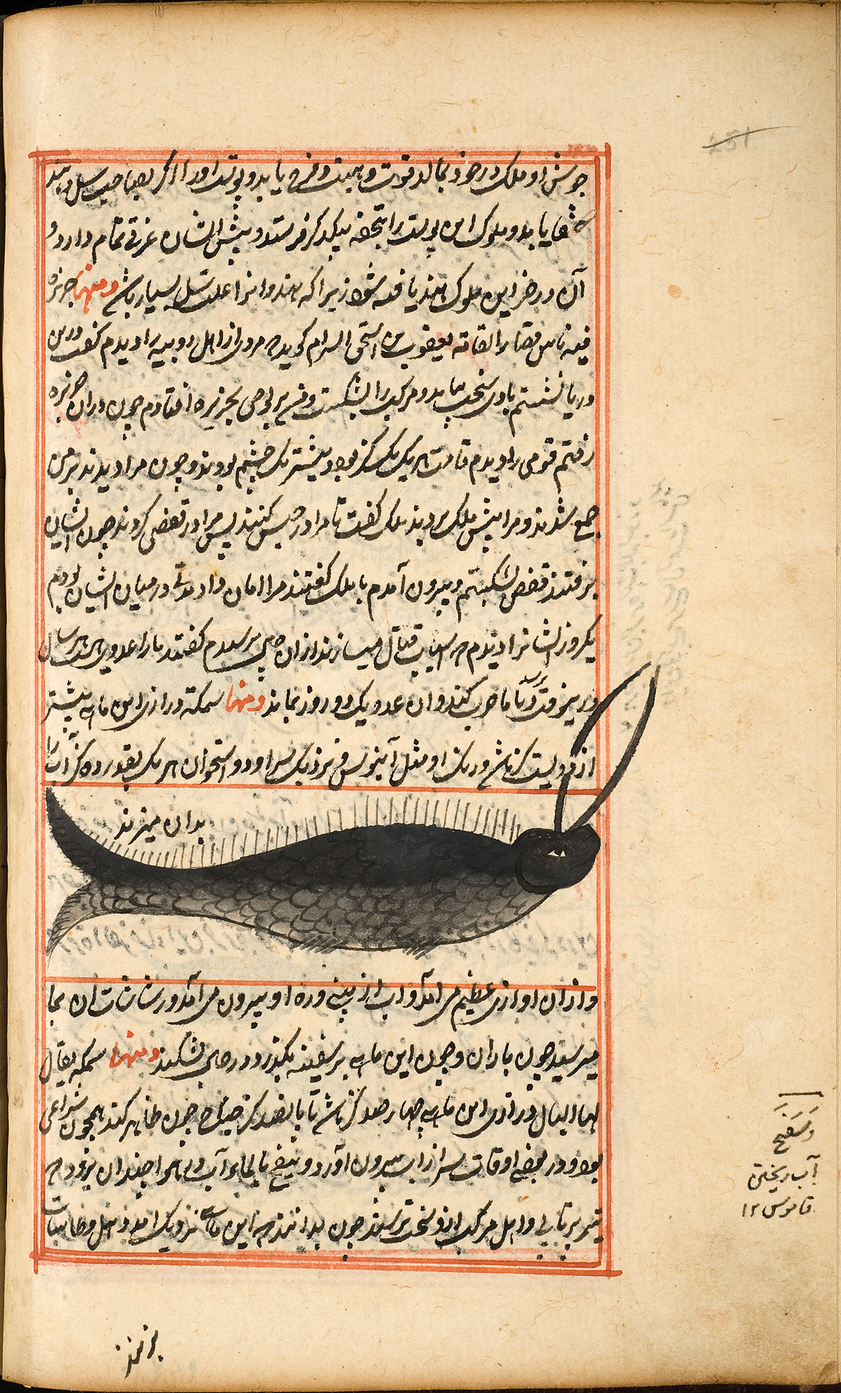 A sea creature with two long tusks pointing upwards, possibly a whale, surrounded by Persian text and a red double ruled border.