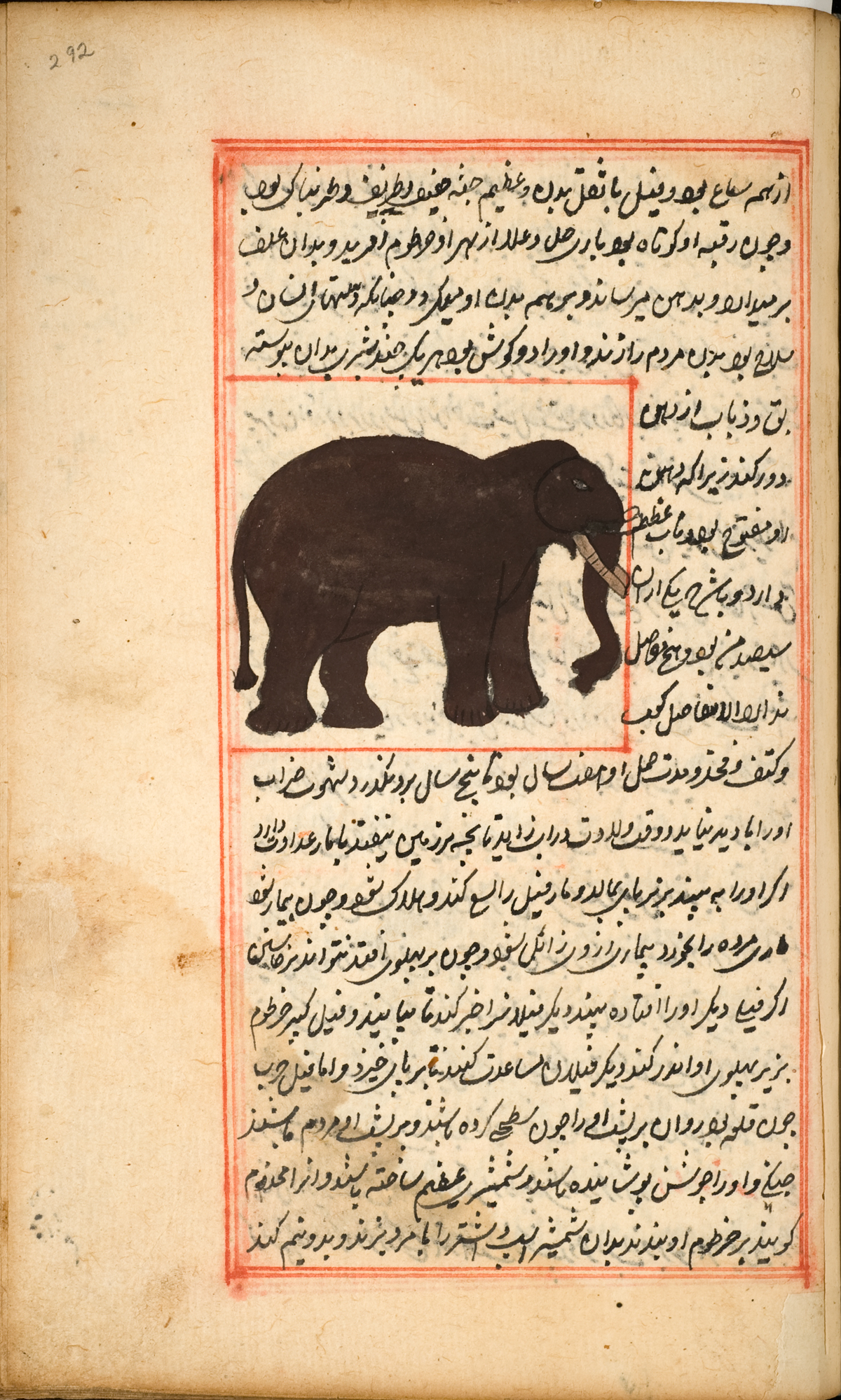 A large brown Asian elephant with very small ears and two large whit tusks, surrounded by Persian text and a red double ruled border.