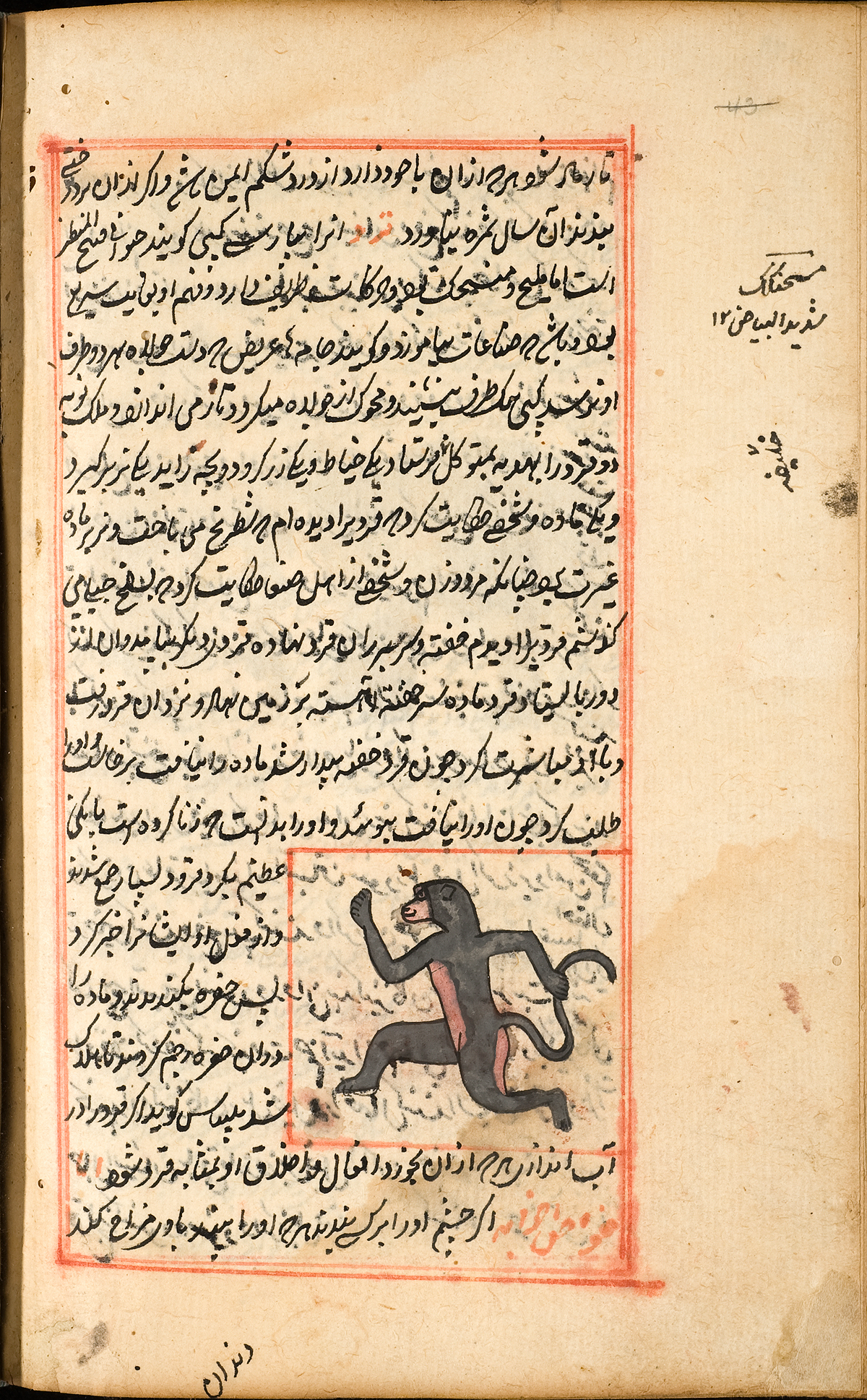 A gray baboon with pink face, chest, and rear end running to the left, surrounded by Persian text and a red double ruled border.