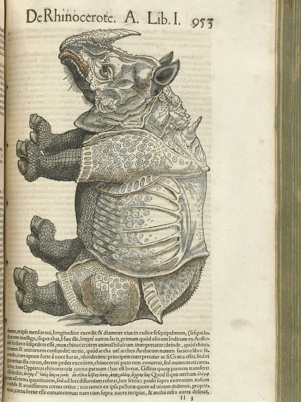 Page 953 from volume 1 of Conrad Gessner's Conradi Gesneri medici Tigurini Historiae animalium, featuring the colored woodcut of de rhinocerote or rhinoceros.