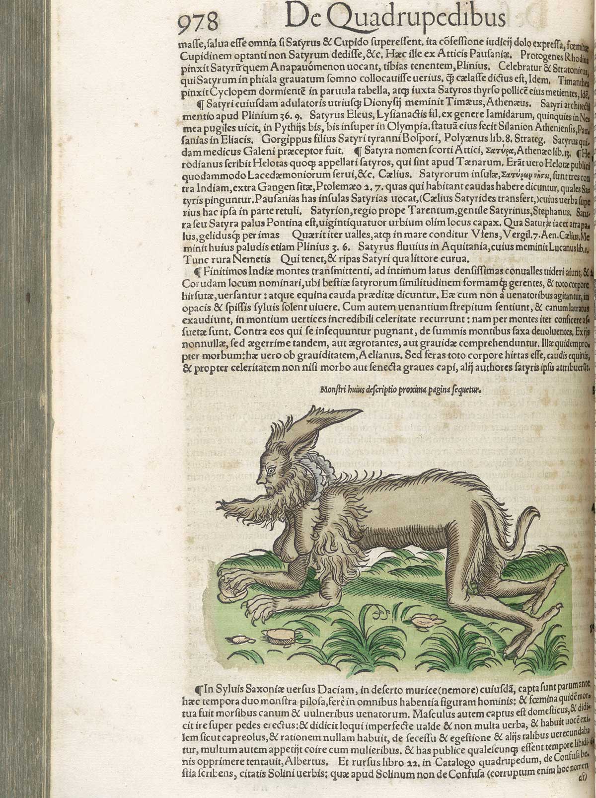 Page 978 from volume 1 of Conrad Gessner's Conradi Gesneri medici Tigurini Historiae animalium, featuring the colored woodcut of a satyr.
