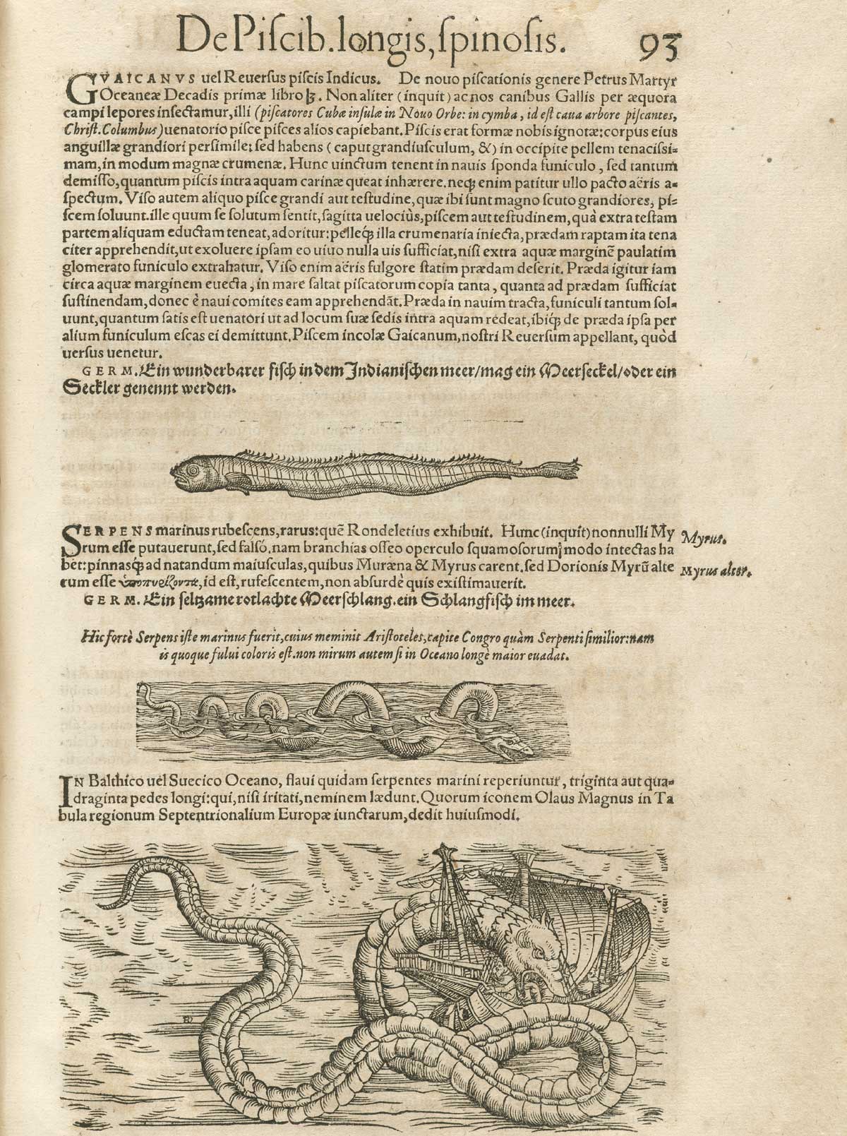 Page 93 from volume 4 of Conrad Gessner's Conradi Gesneri medici Tigurini Historiae animalium, featuring a sea serpent.