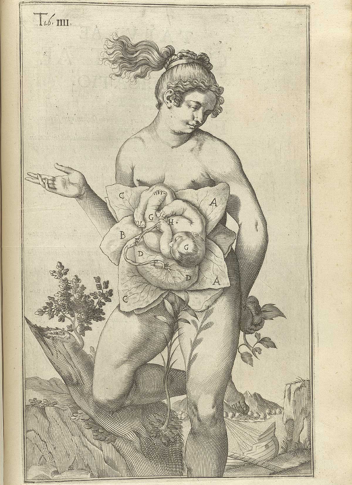A female figure with womb exposed displaying a fetus within the placenta.