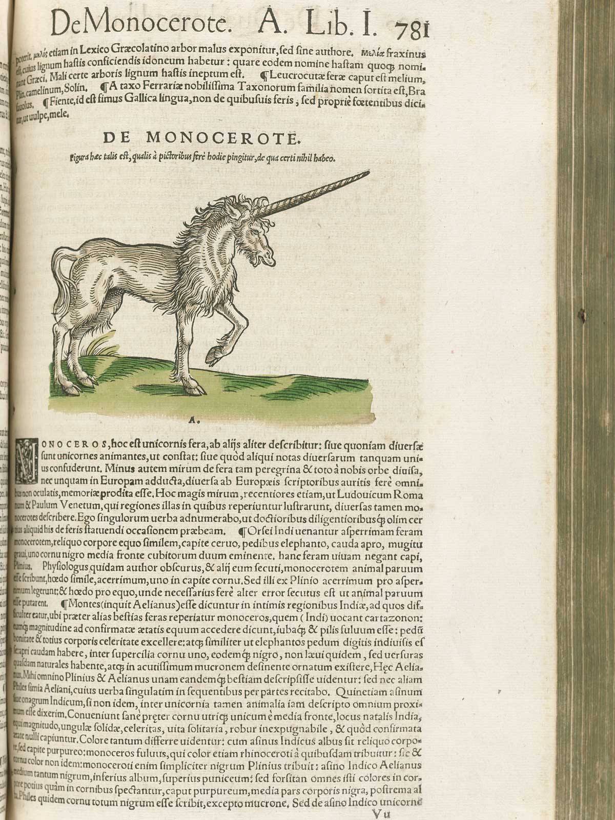 Page 781 from volume 1 of Conrad Gessner's Conradi Gesneri medici Tigurini Historiae animalium, featuring the colored woodcut of de monocerote or unicorn.