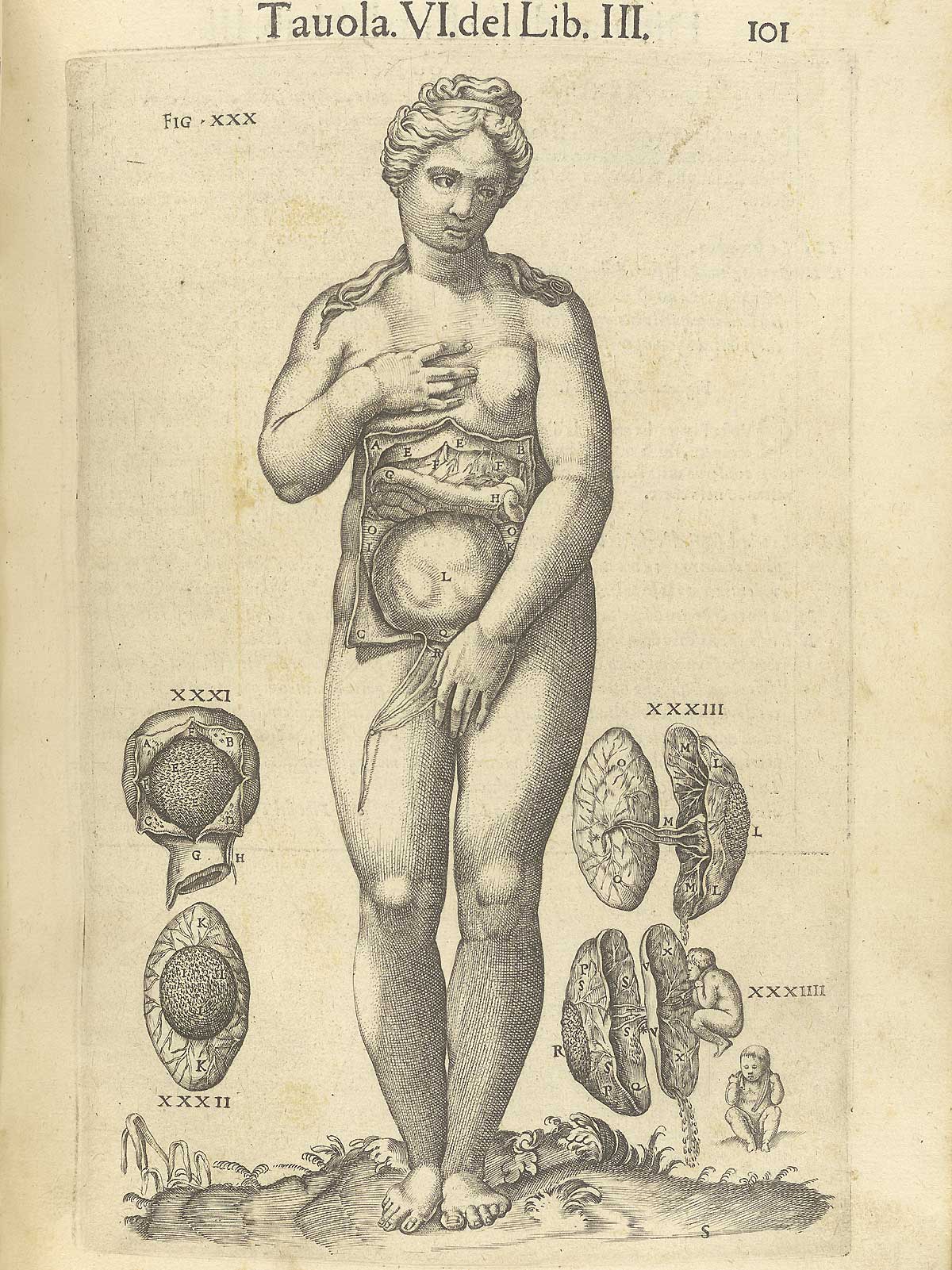 Page 101 of Juan Valverde de Amusco's Anatomia del corpo humano, featuring a female cadaver and her reproductive organs.