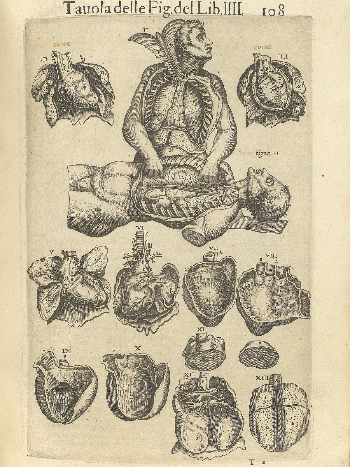 Page 108 of Juan Valverde de Amusco's Anatomia del corpo humano, featuring a cadaver with its fingers in another cadaver. Around the two cadavers are images of the heart.