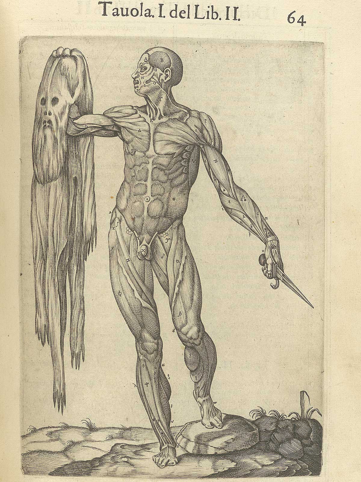 A flayed cadaver holds his skin in his right hand and a dissecting knife in the other.