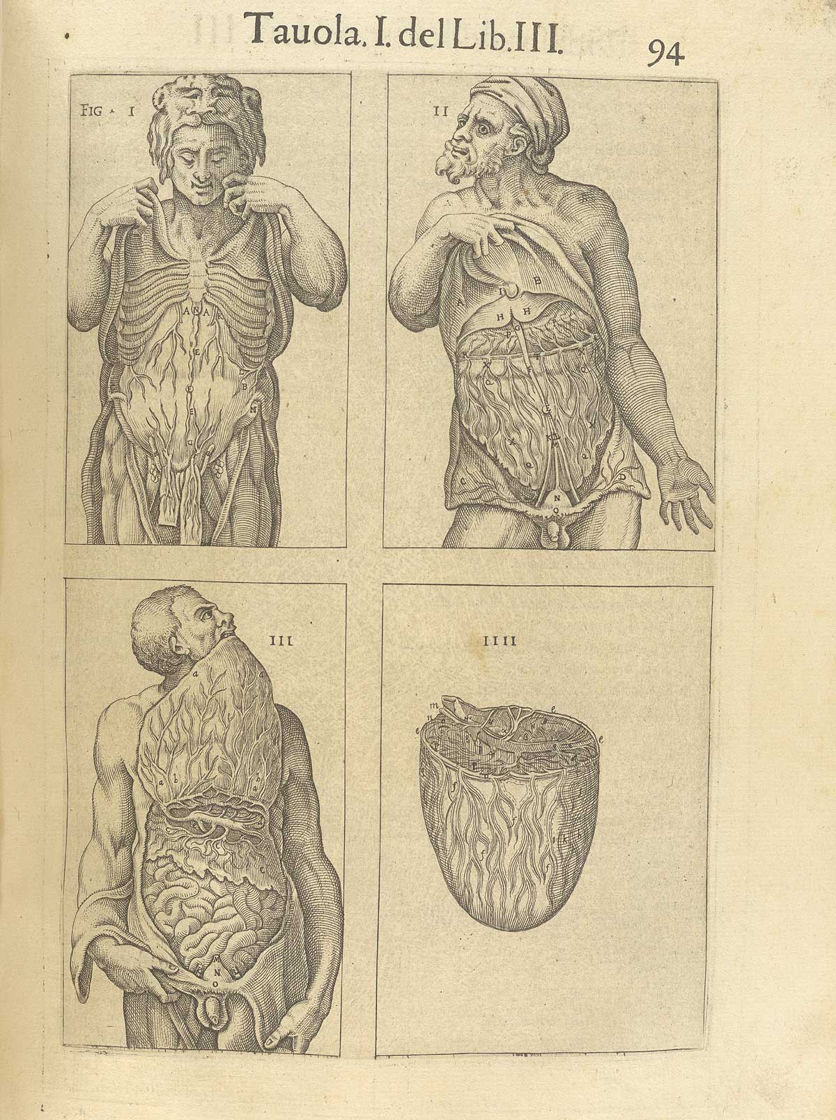 Page 94 of Juan Valverde de Amusco's Anatomia del corpo humano, featuring four figures displaying the circulatory and digestive systems under the muscles of the abdomen.