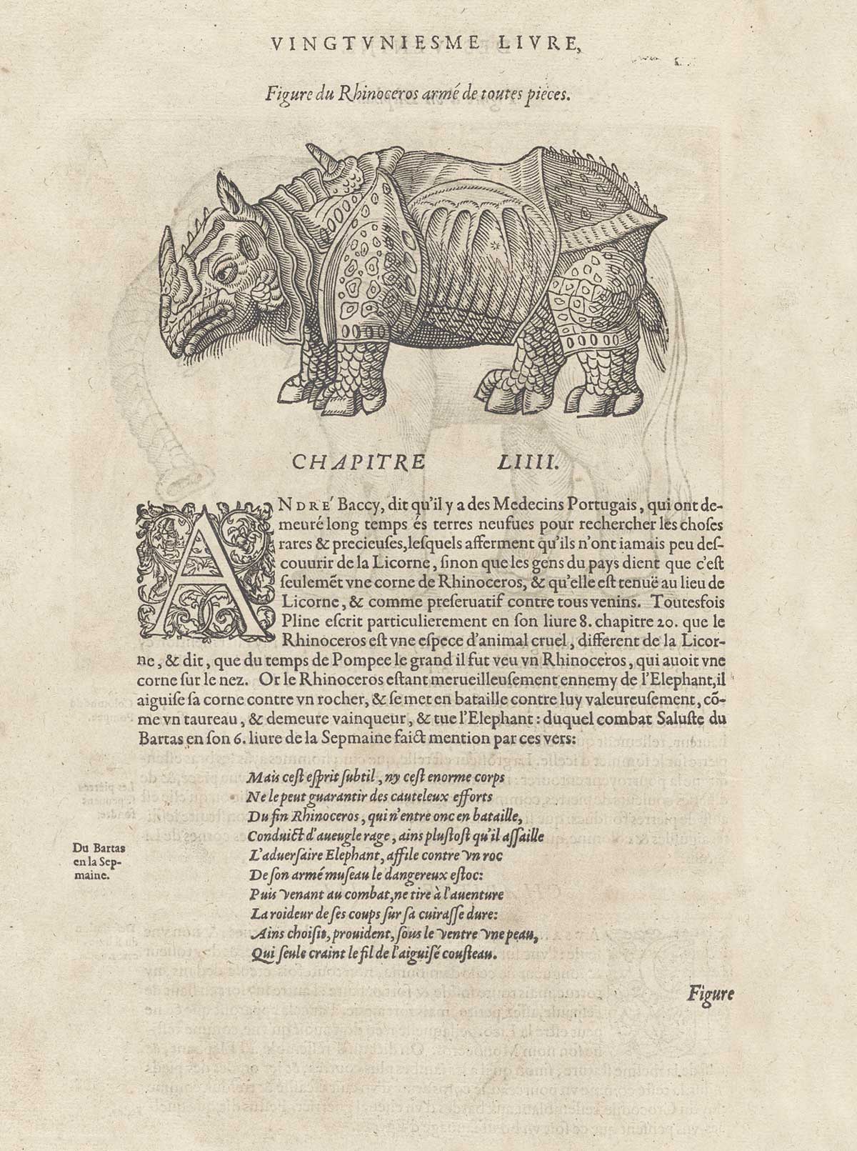 Page VIIICXII features a rhinoceros wearing armour.