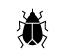 Insects icon represented by an image of a beetle