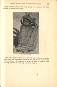 Page 15 of Indian Babies: How to Keep Them Well, Office of Indian Affairs, 1916. In the center of the page is a Native American baby in a Navajo cradle.